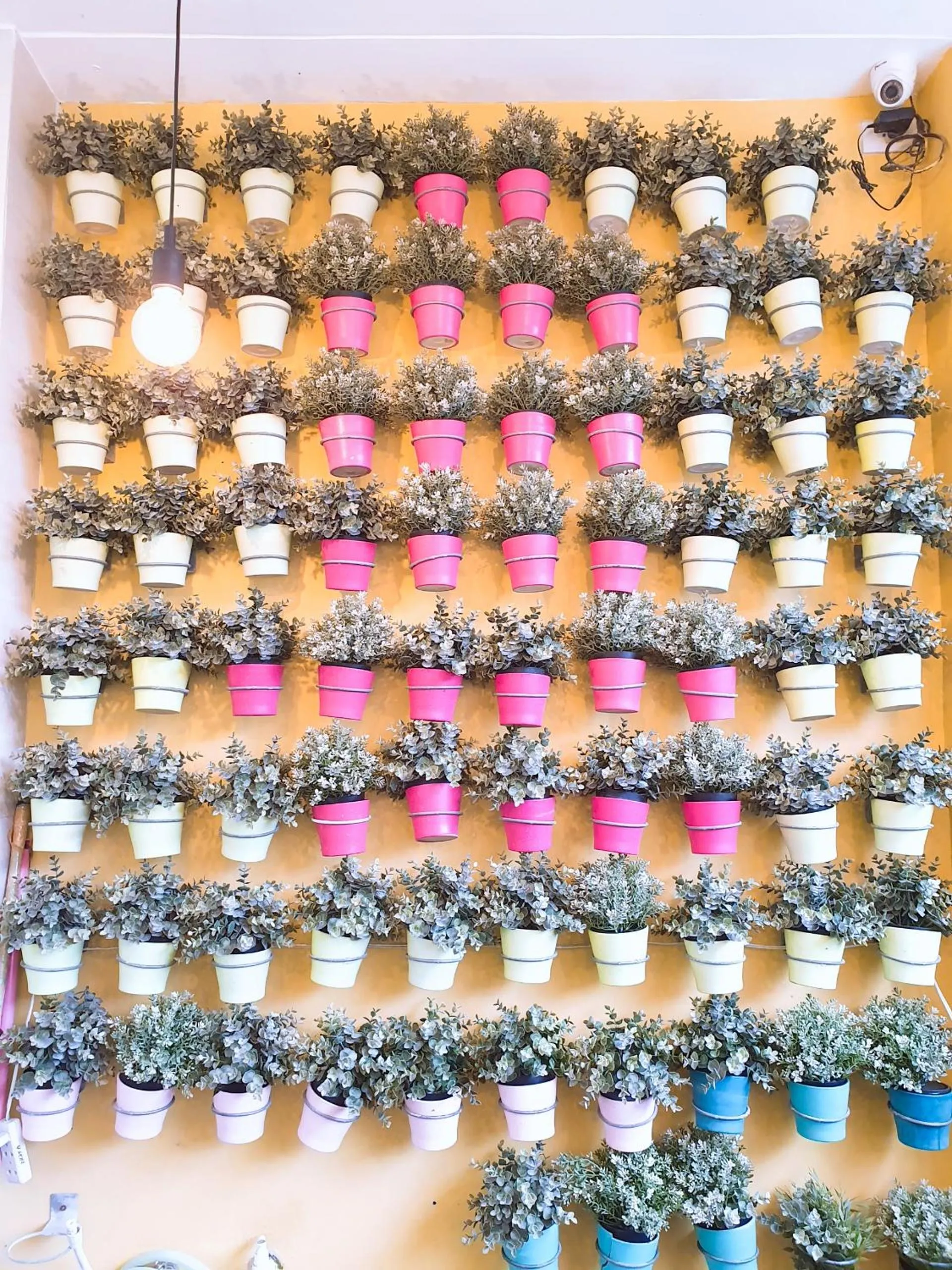 Decorative detail in BLUE OCEAN BOUTIQUE HOTEL - Boracay Island