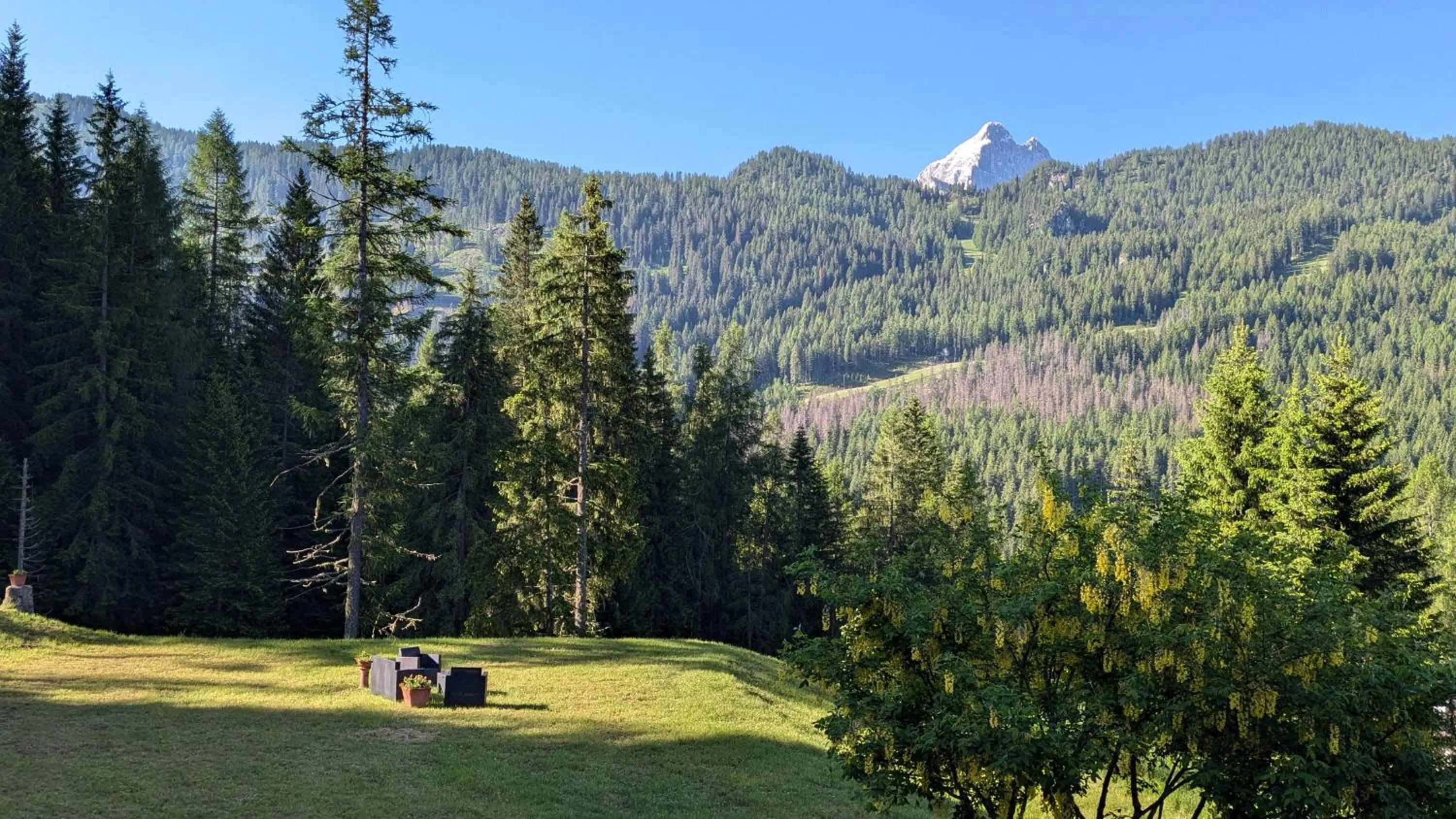 Natural landscape in Hotel Ca' del Bosco