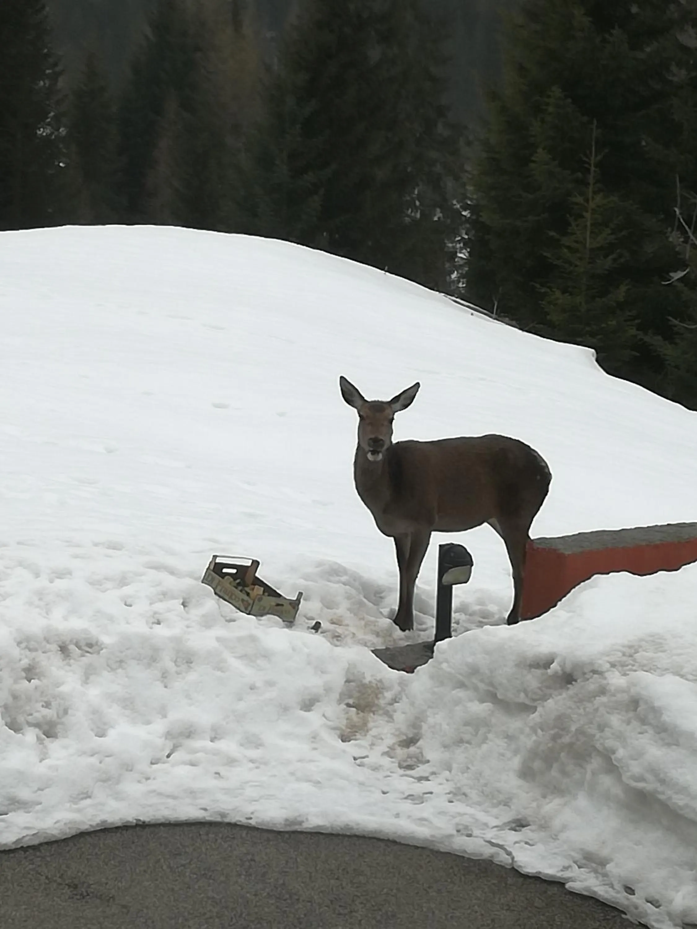 Winter in Hotel Ca' del Bosco