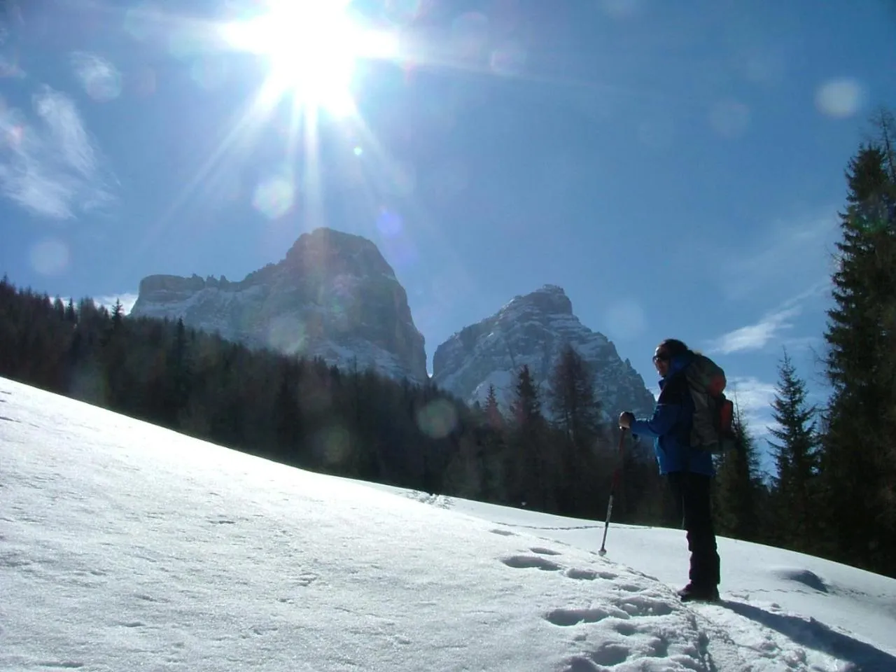 Natural landscape in Hotel Ca' del Bosco