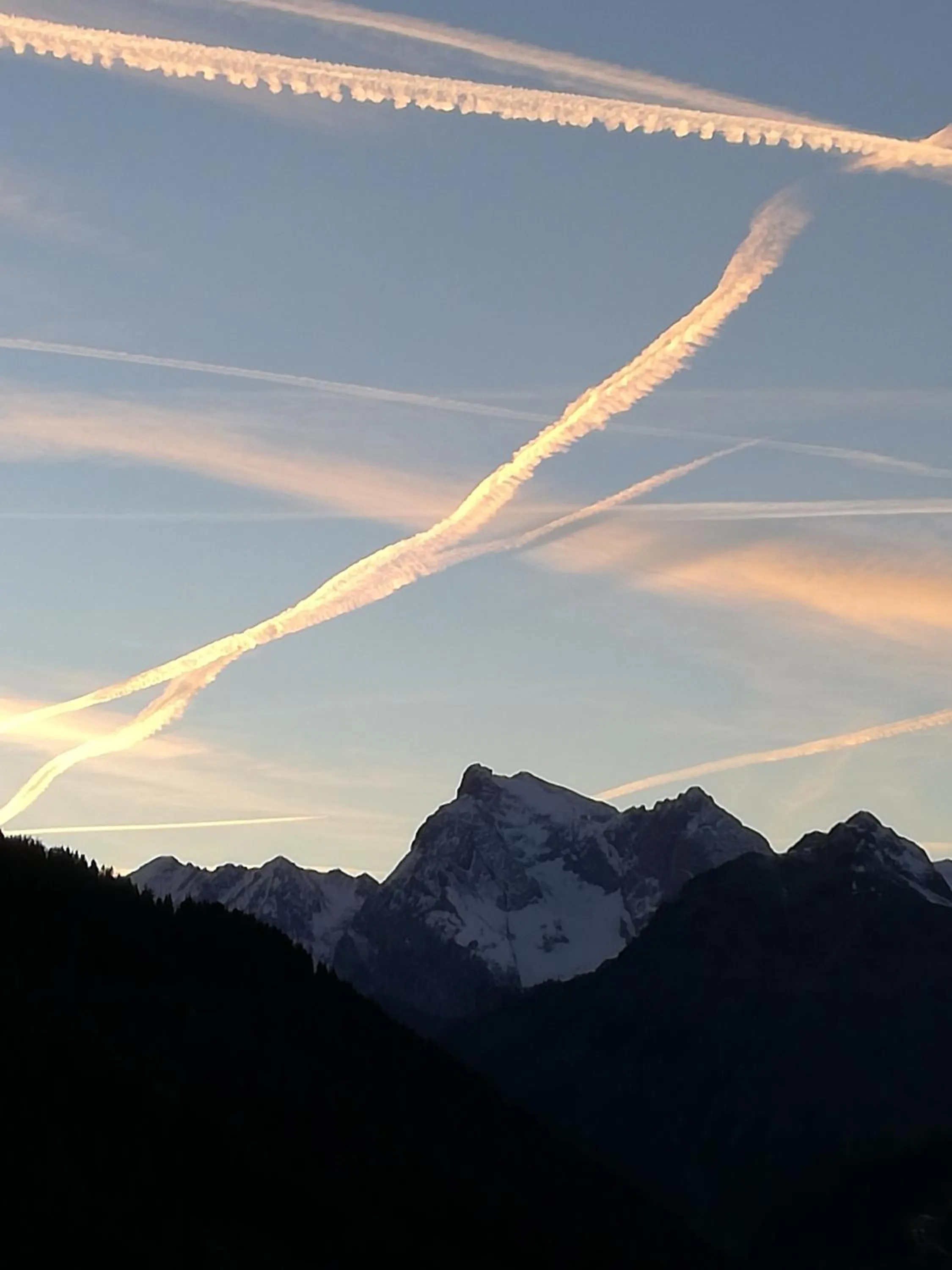 Natural landscape in Hotel Ca' del Bosco