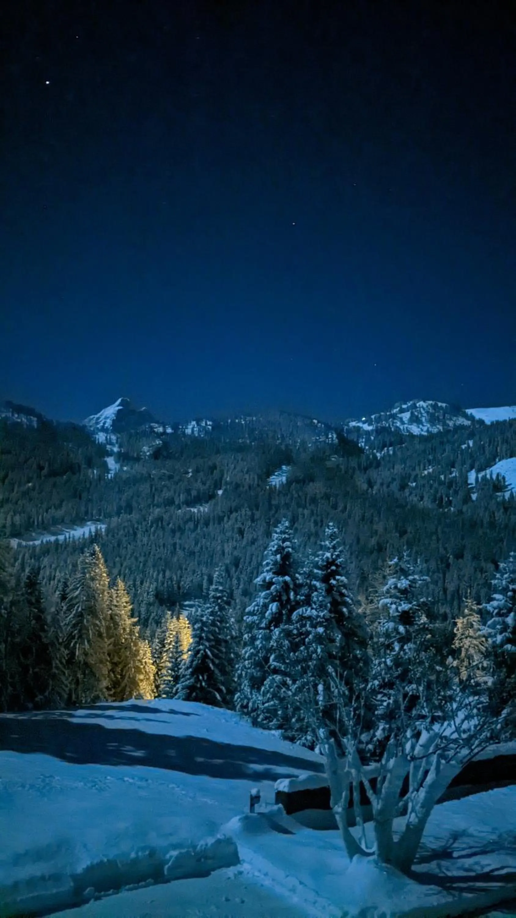 Garden in Hotel Ca' del Bosco