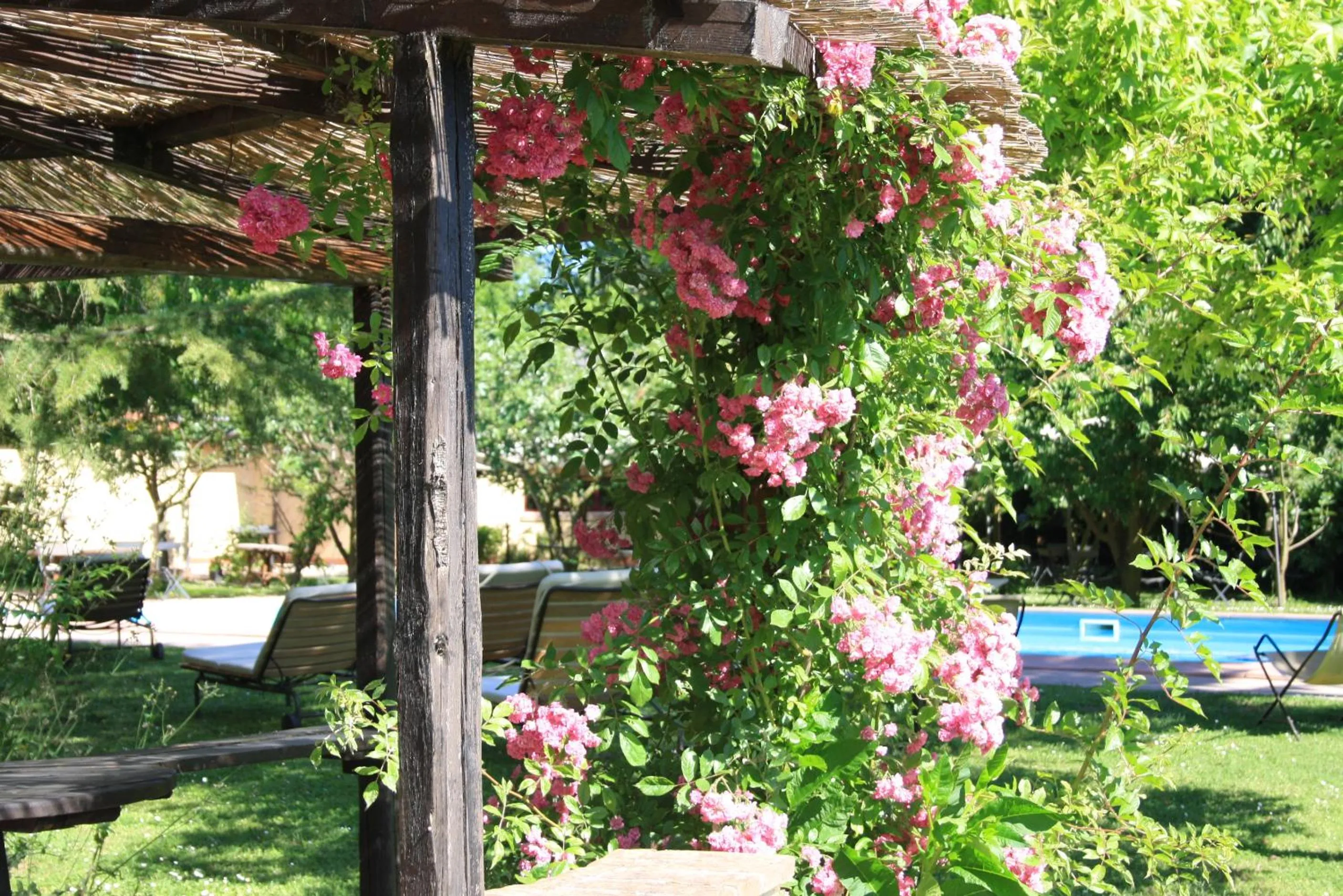 Garden in Villa Belfiore