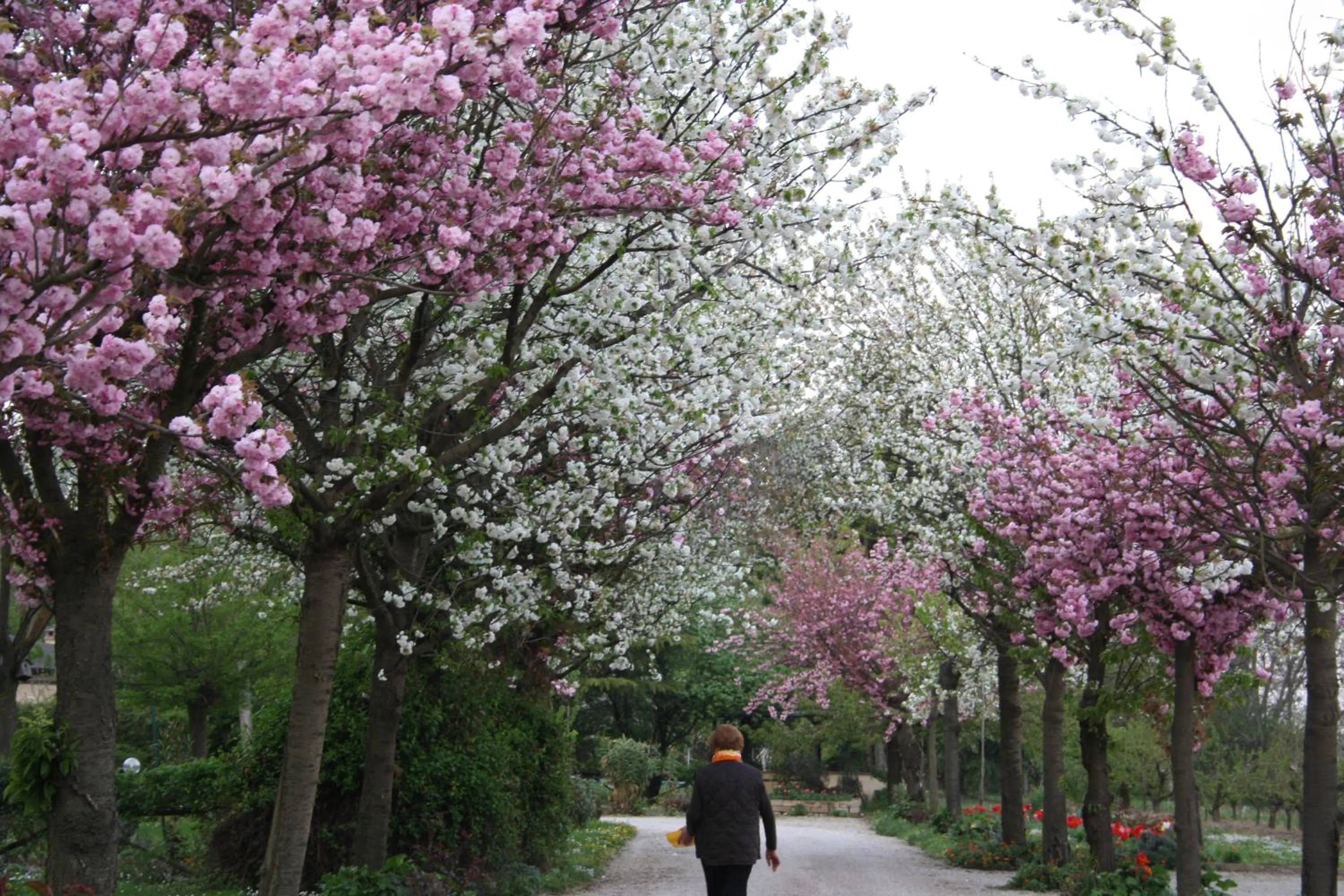 Spring in Villa Belfiore