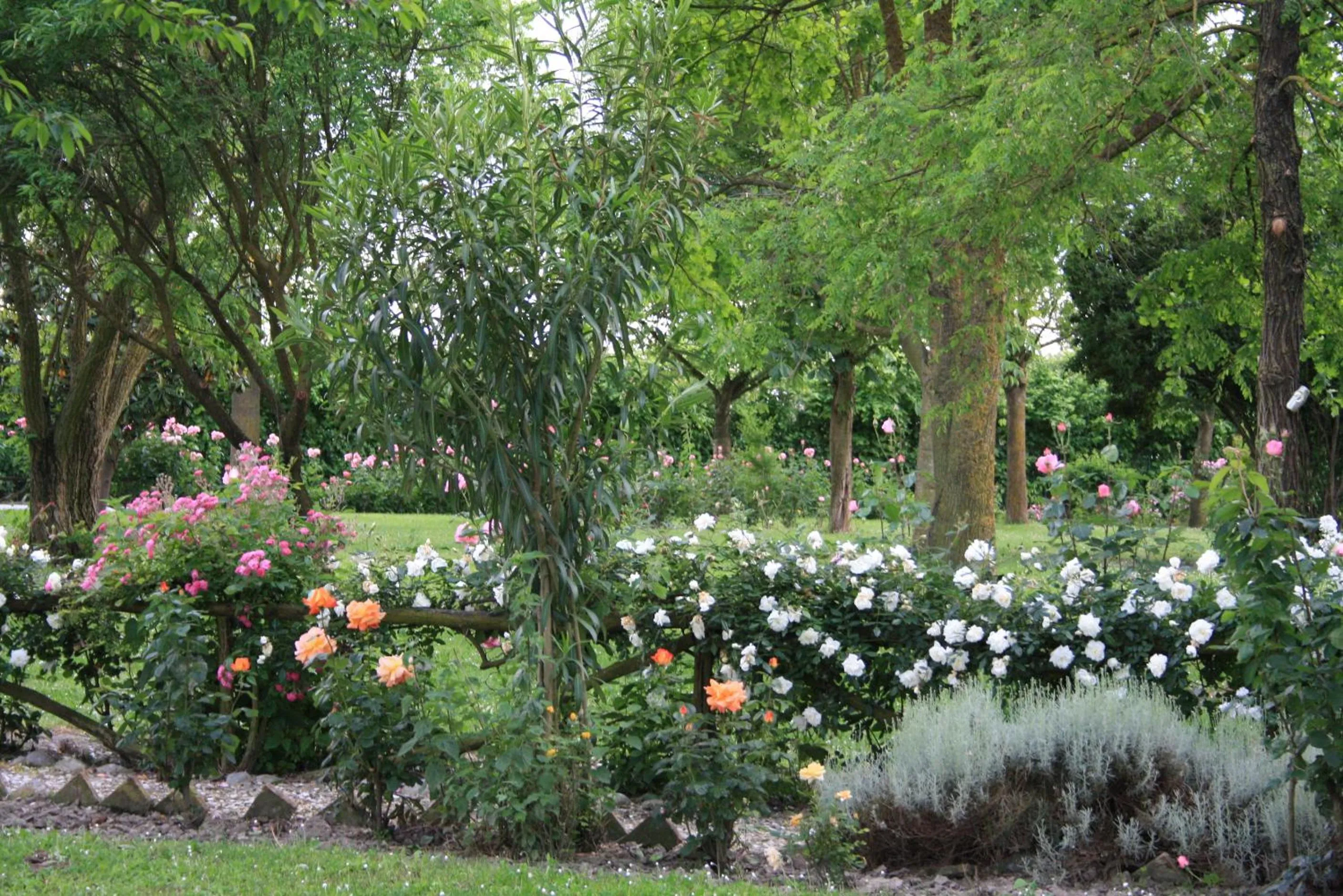 Garden in Villa Belfiore