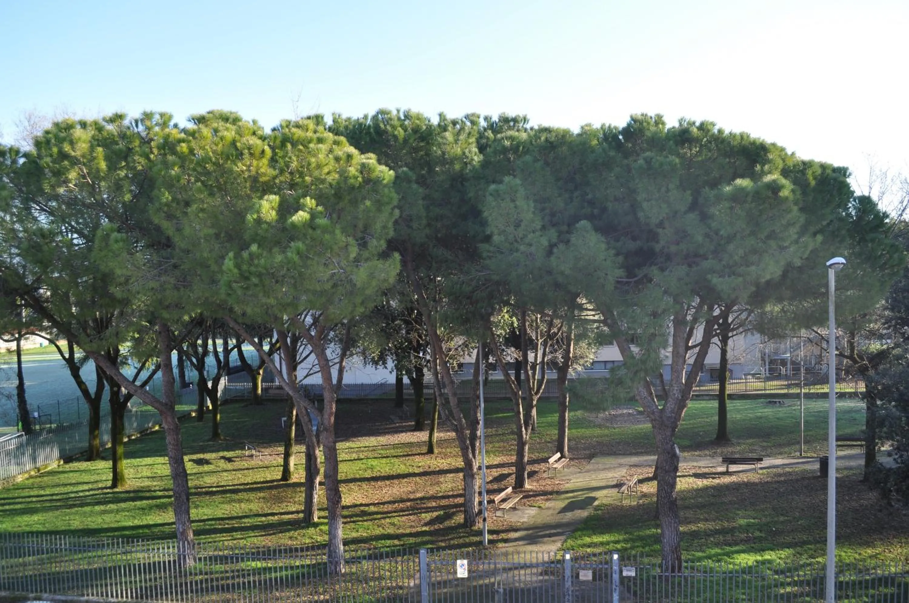 Garden in B&B Pergolesi
