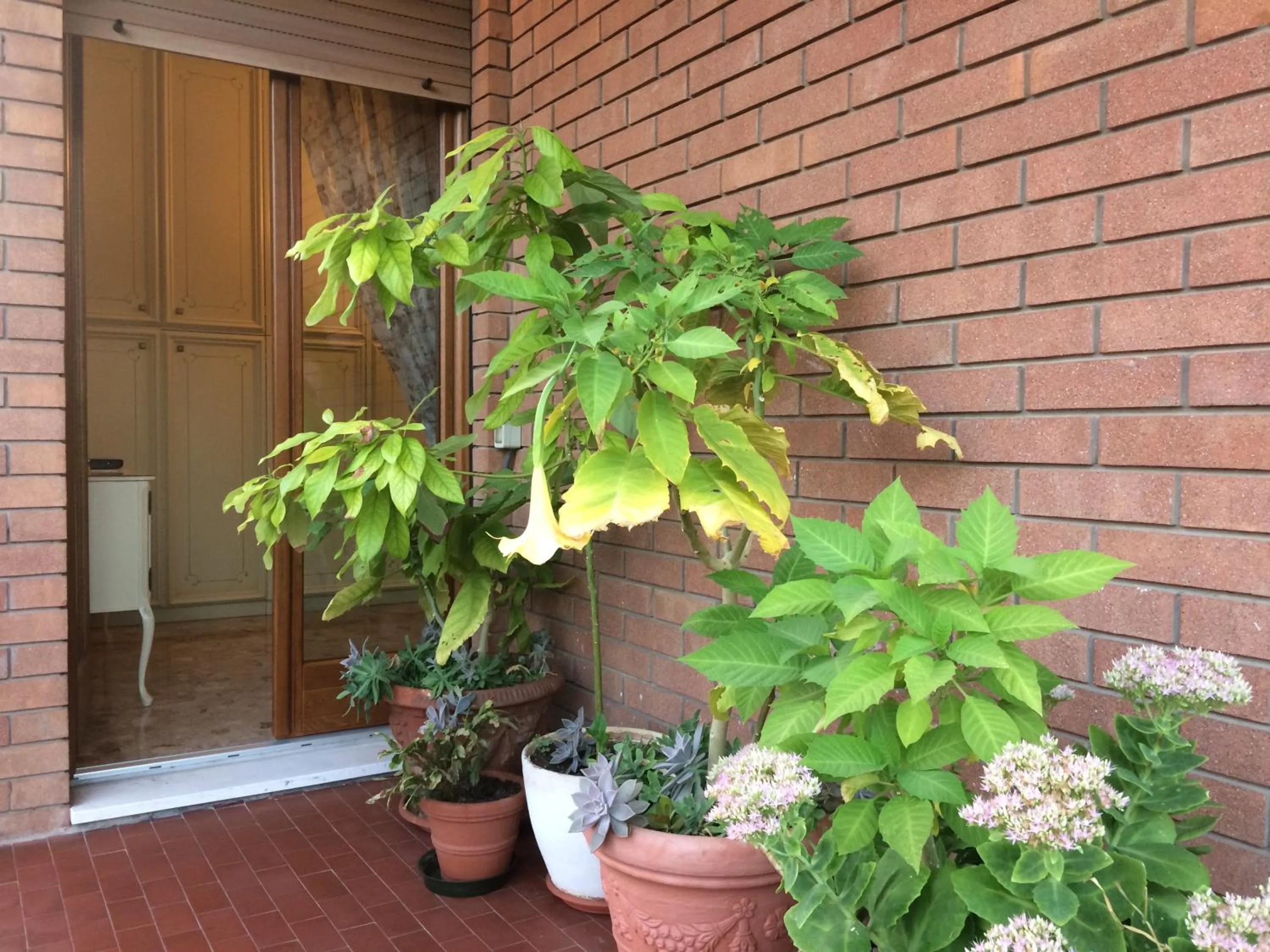 View (from property/room) in B&B Pergolesi