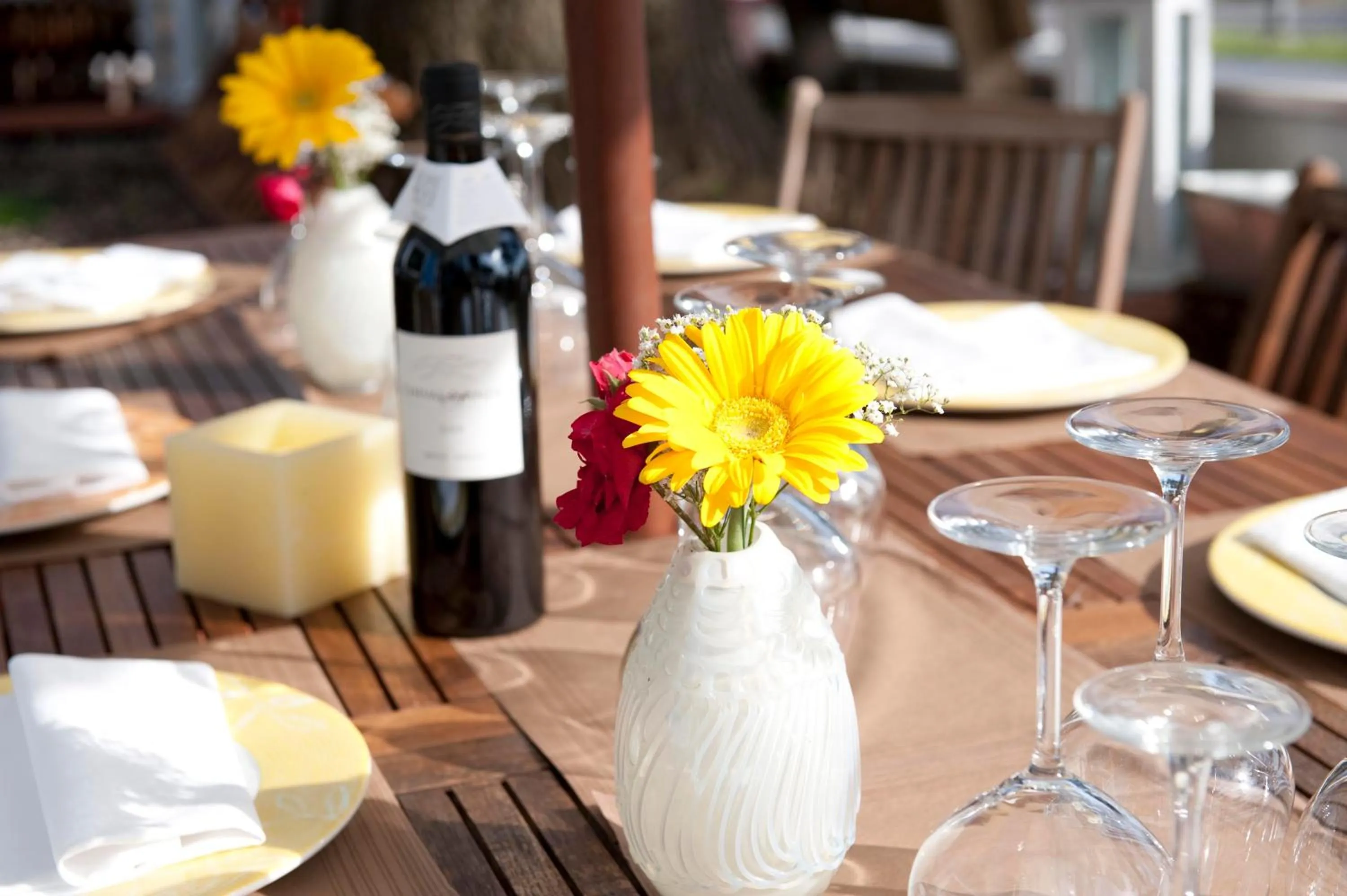 Garden in Hotel Silvana