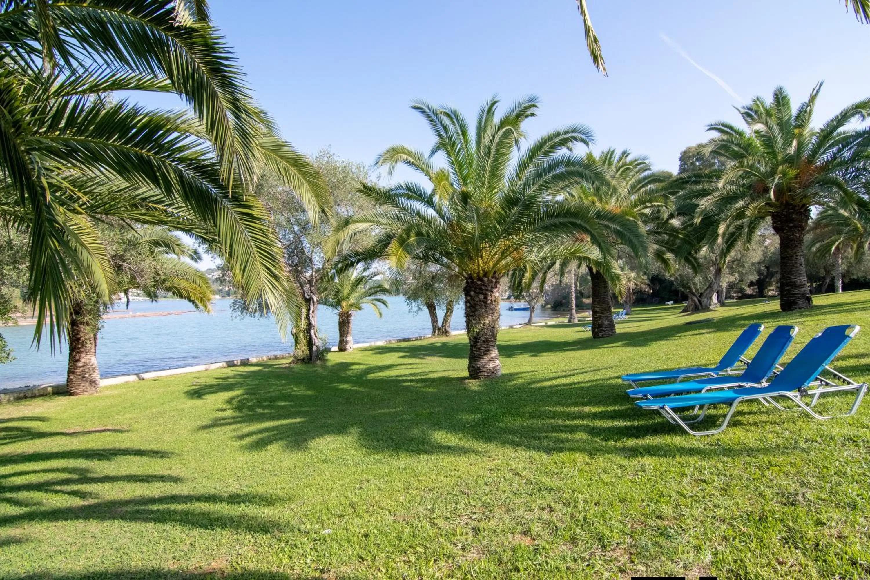 Garden in Helion Resort