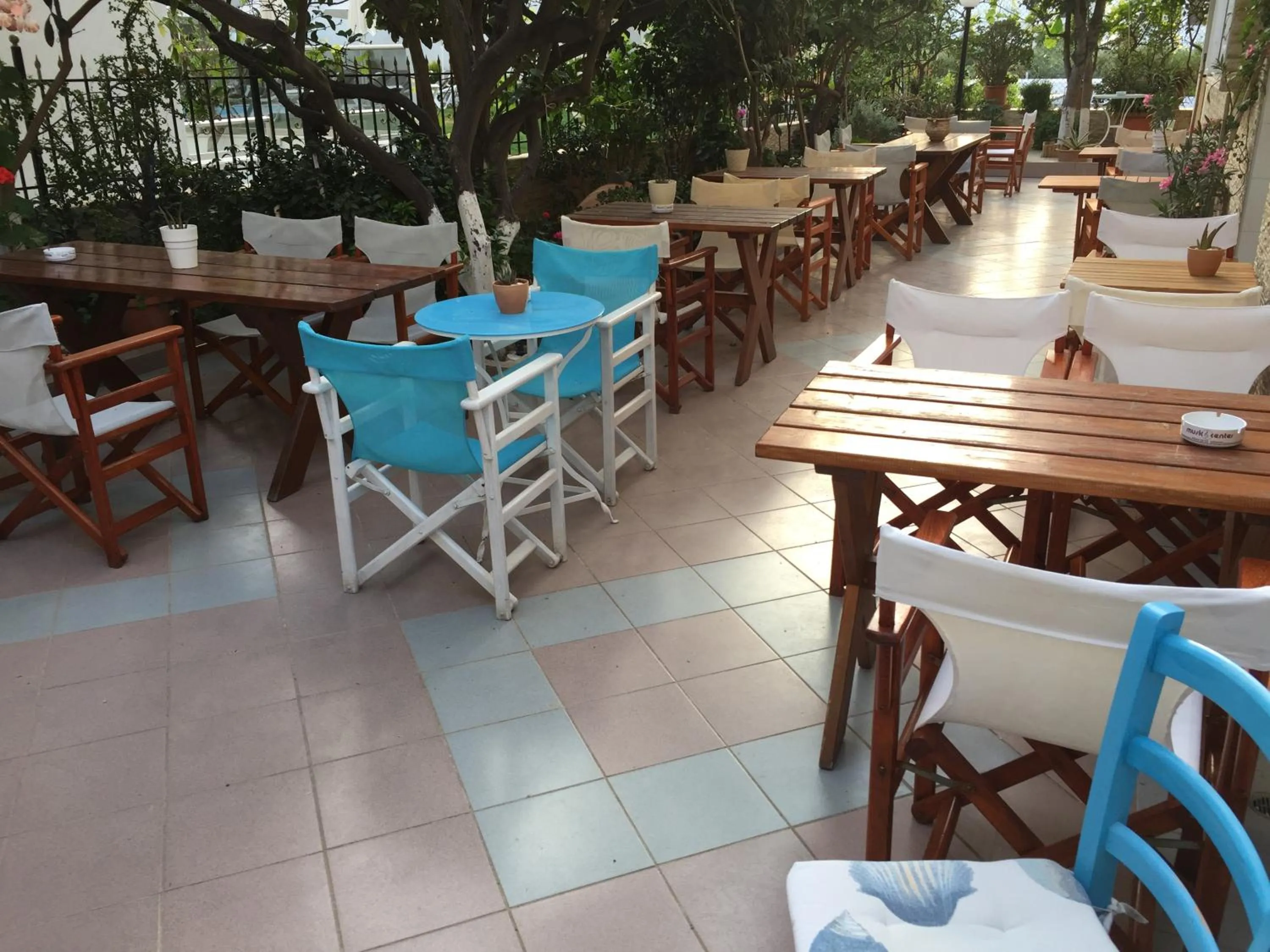 Garden in Voula Hotel