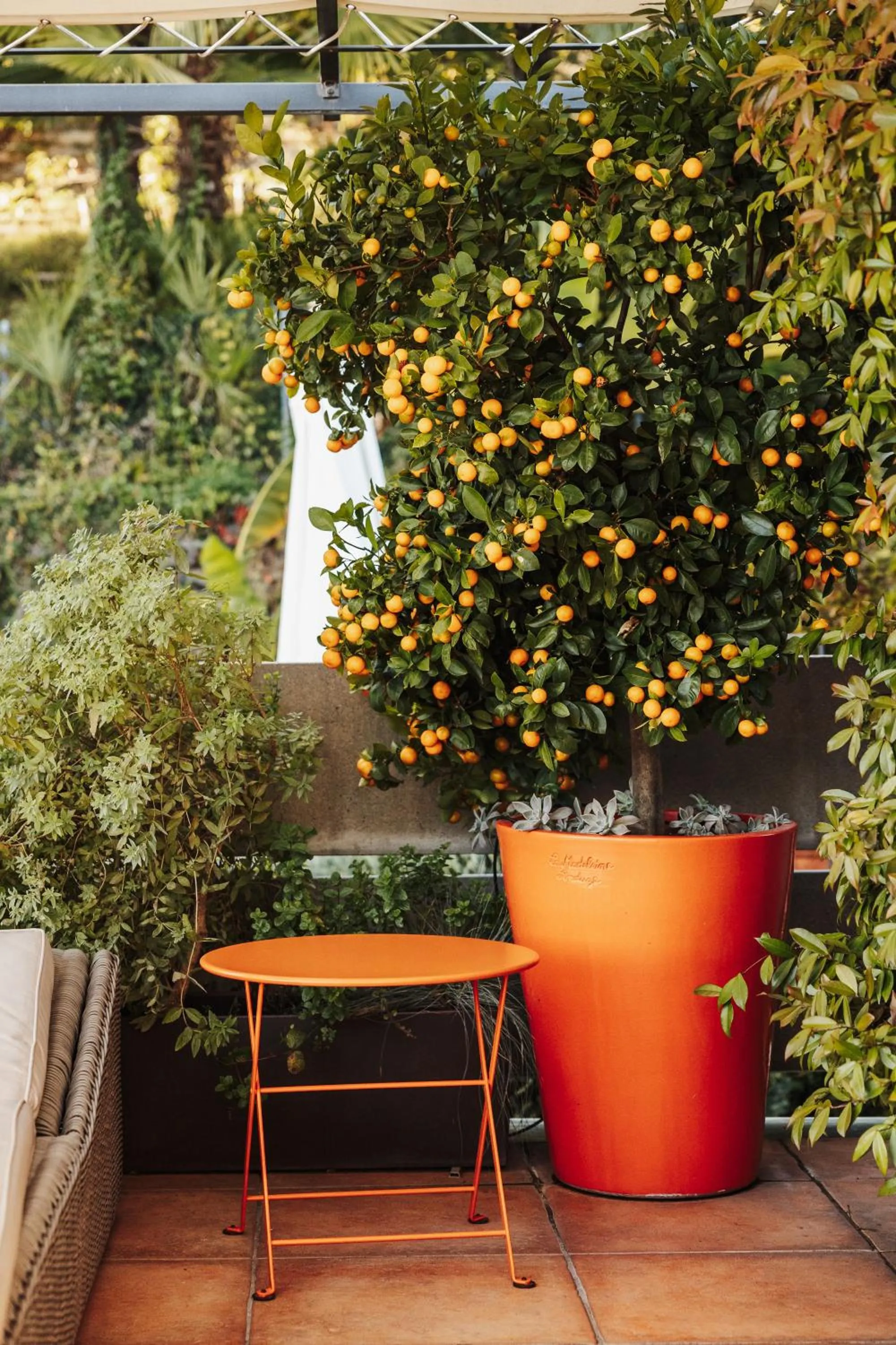 Balcony/Terrace in Art Hotel Riposo
