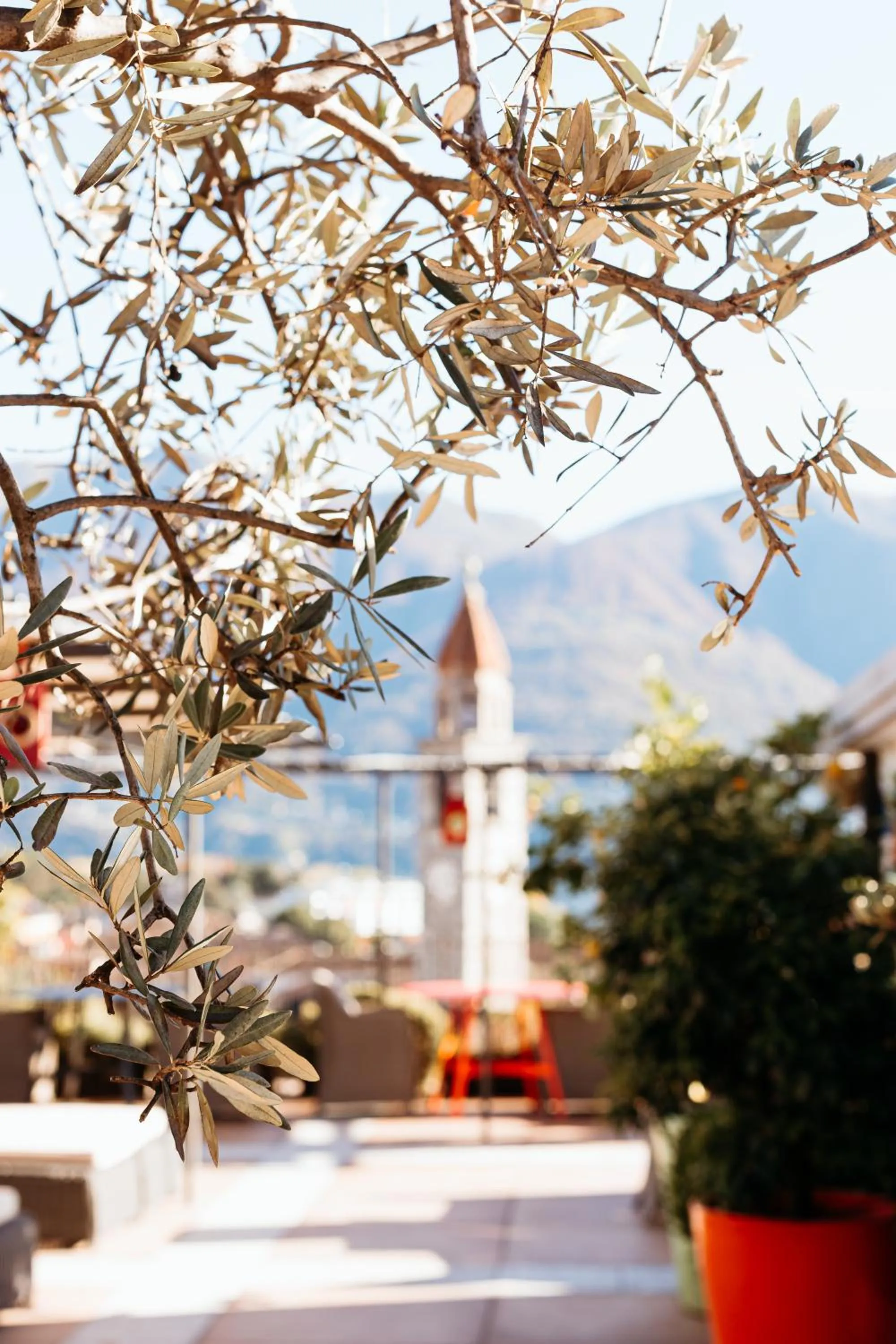 Restaurant/places to eat in Art Hotel Riposo