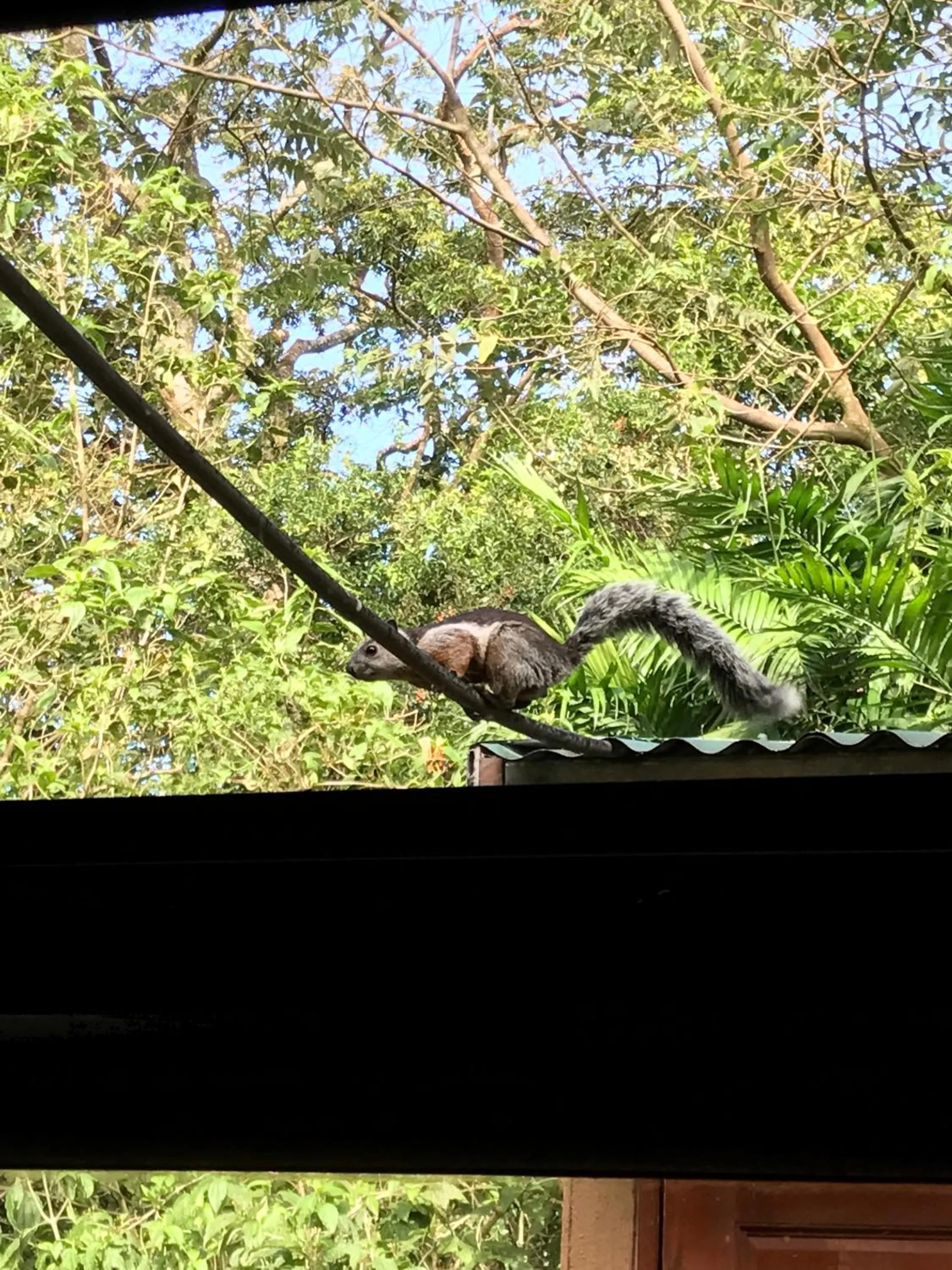 Patio in Dreams Lodge