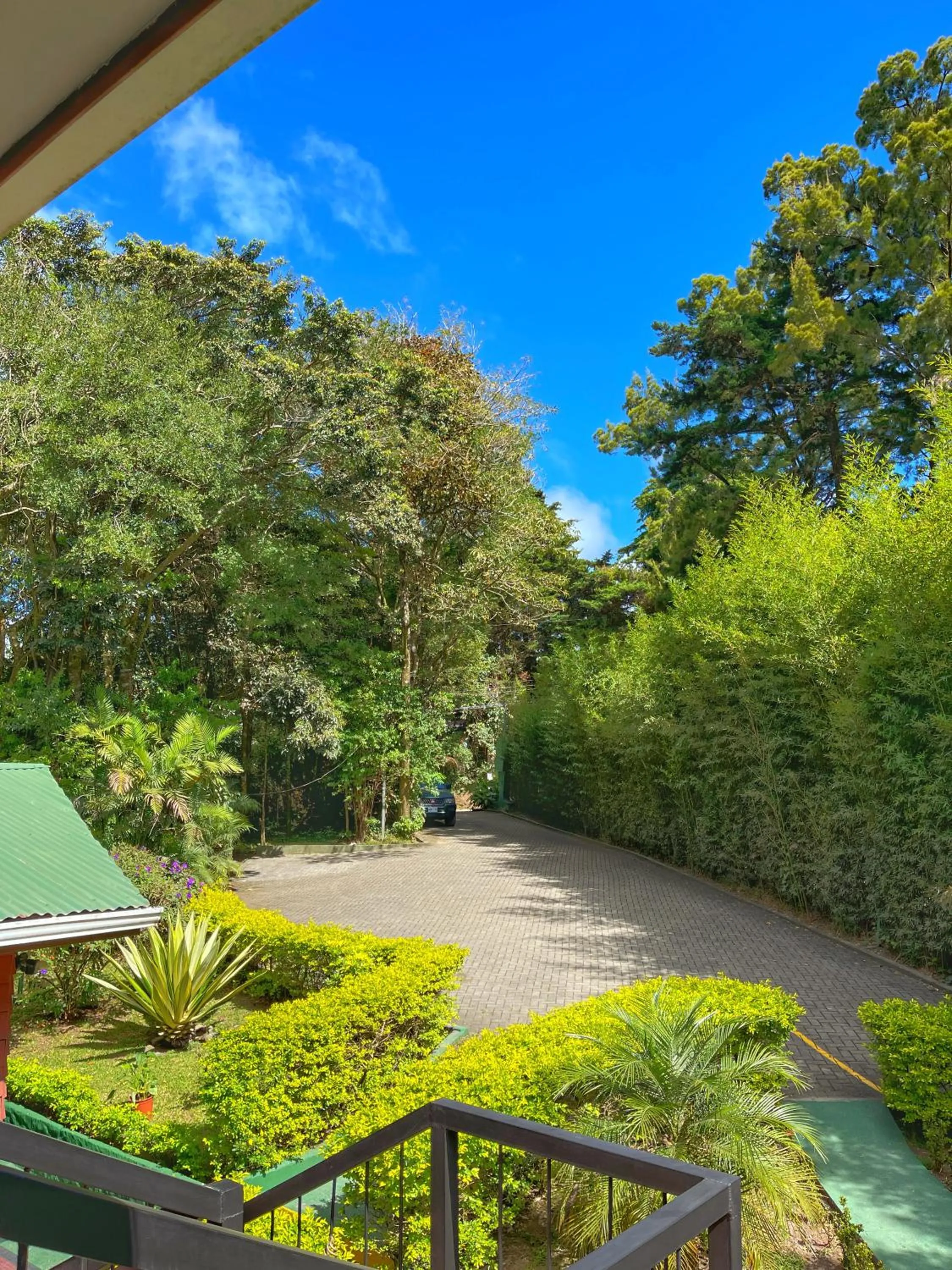 Garden view in Dreams Lodge