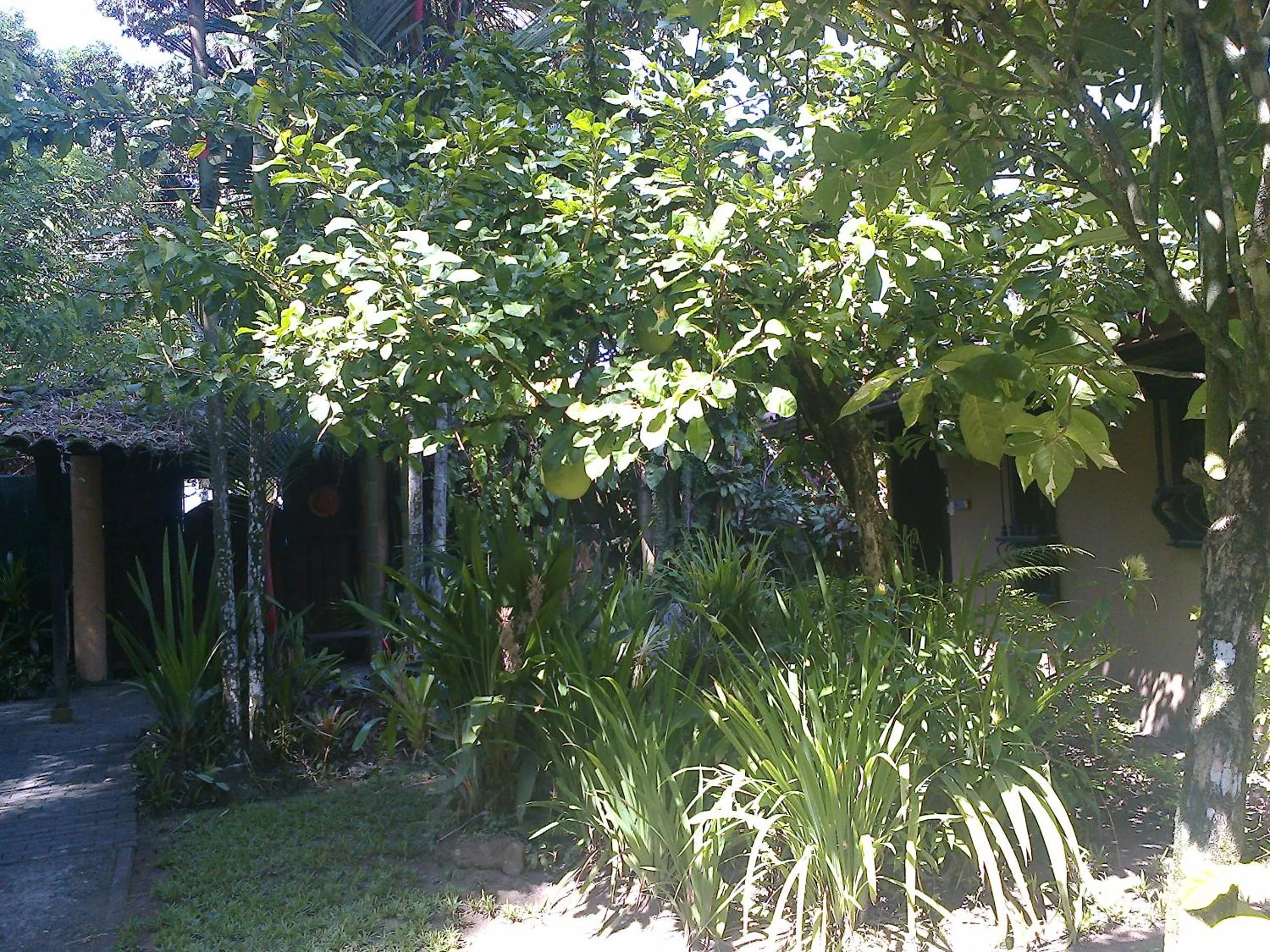 Facade/entrance in Playa Negra Guesthouse