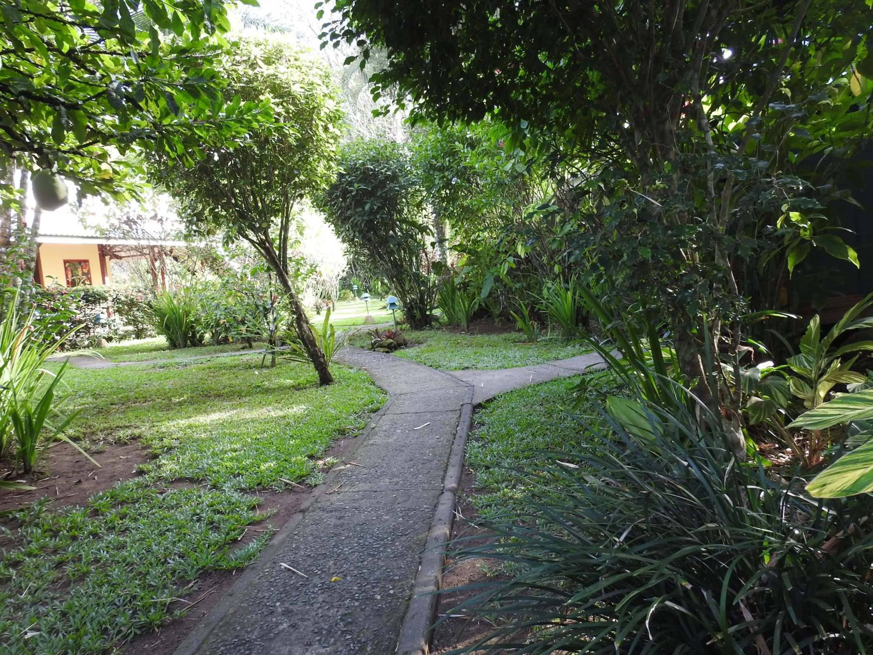 Property building in Playa Negra Guesthouse