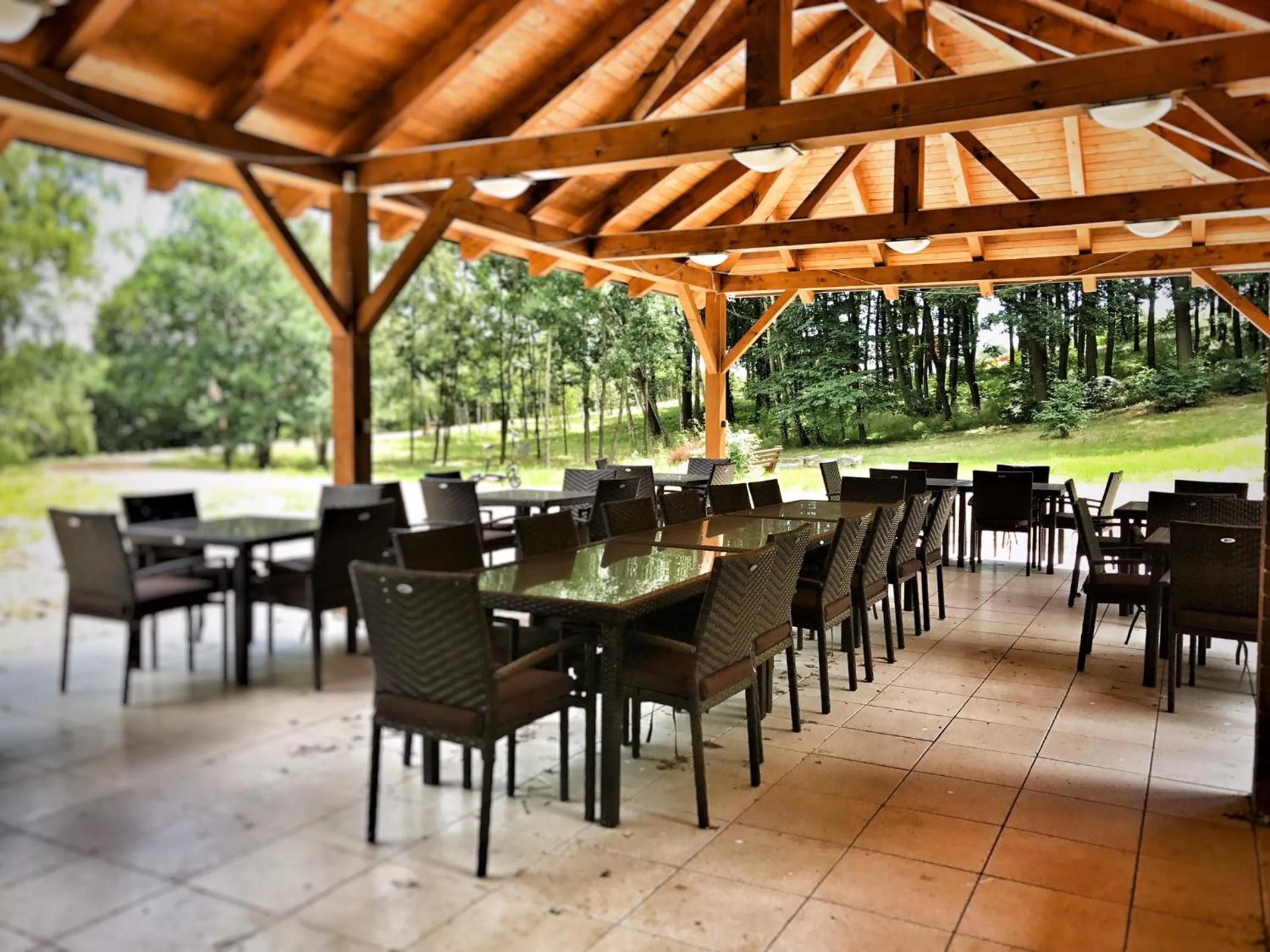 BBQ facilities in Aparthotel DKS