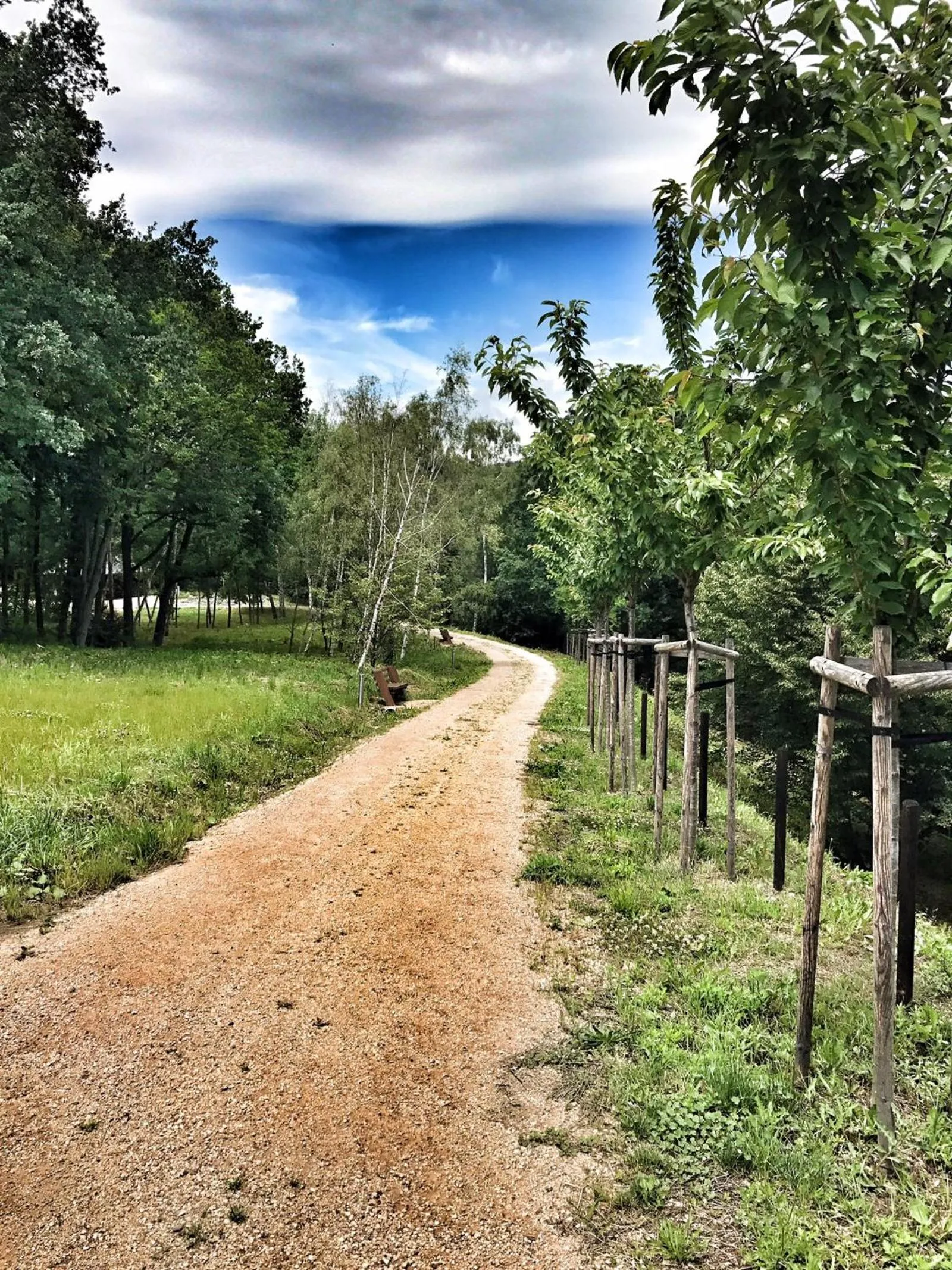 Garden in Aparthotel DKS
