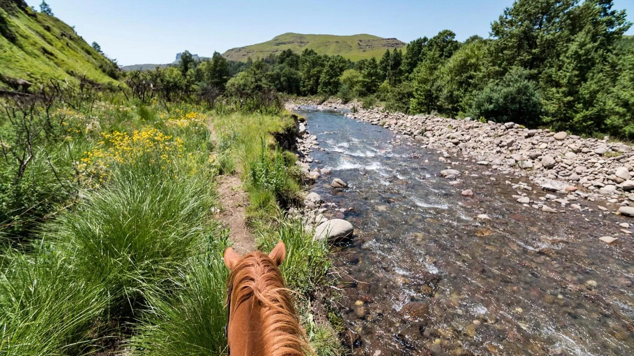Horse-riding in Gooderson Leisure Riverbend Chalets Self Catering and Timeshare Gold Crown Resort