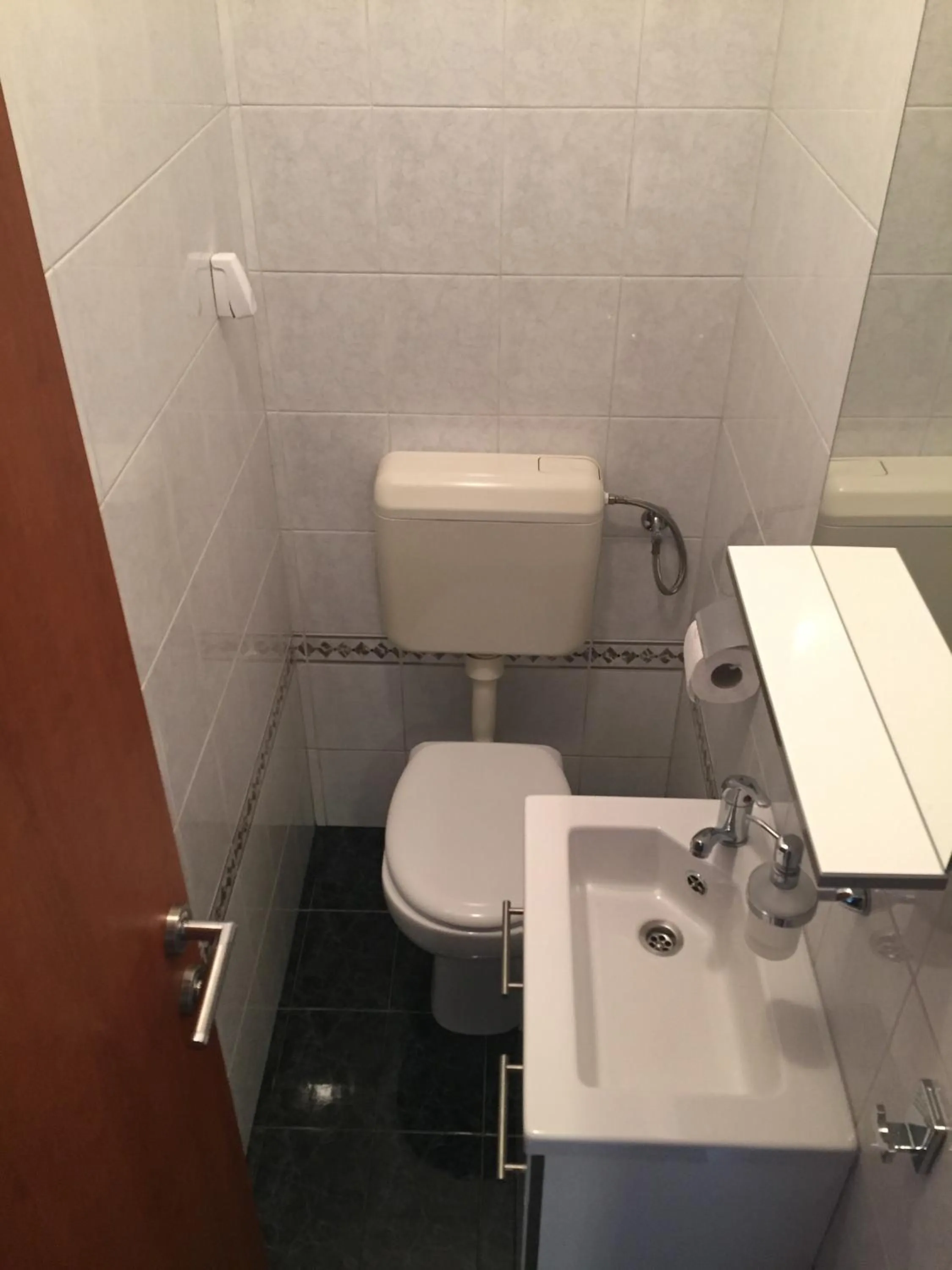 Toilet in Apartment Trstenik