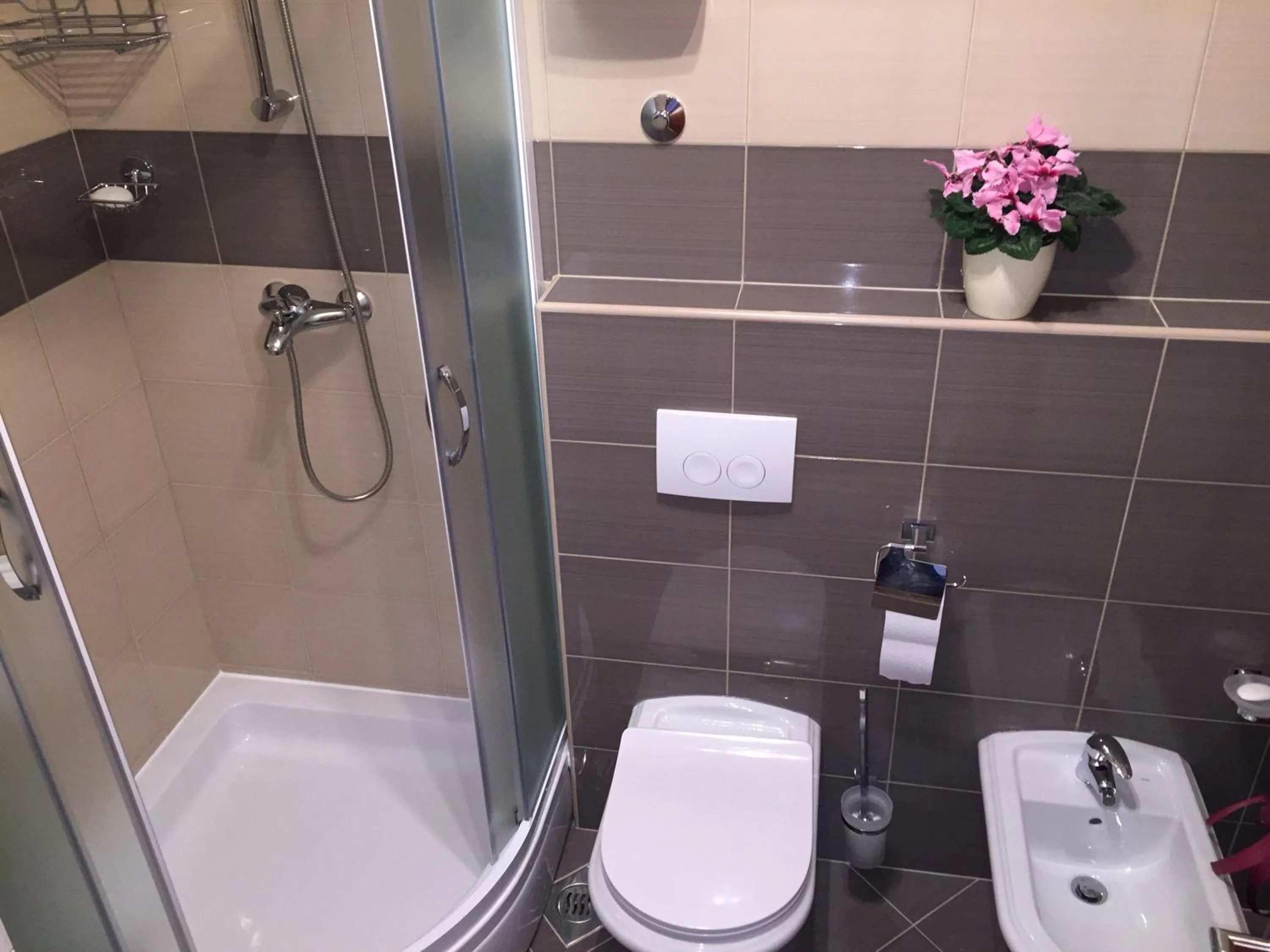 Bathroom in Apartment Trstenik