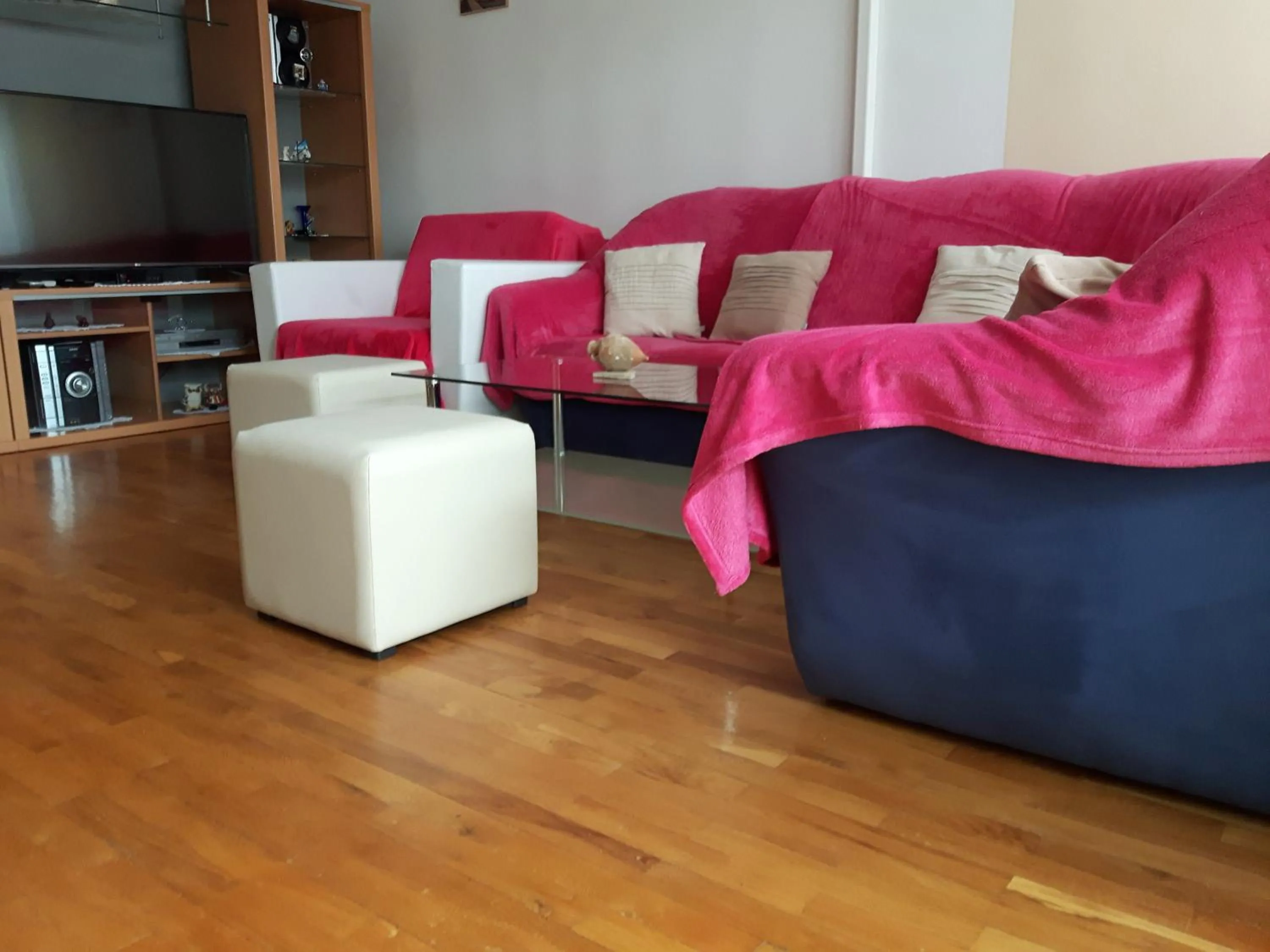 Living room in Apartment Trstenik