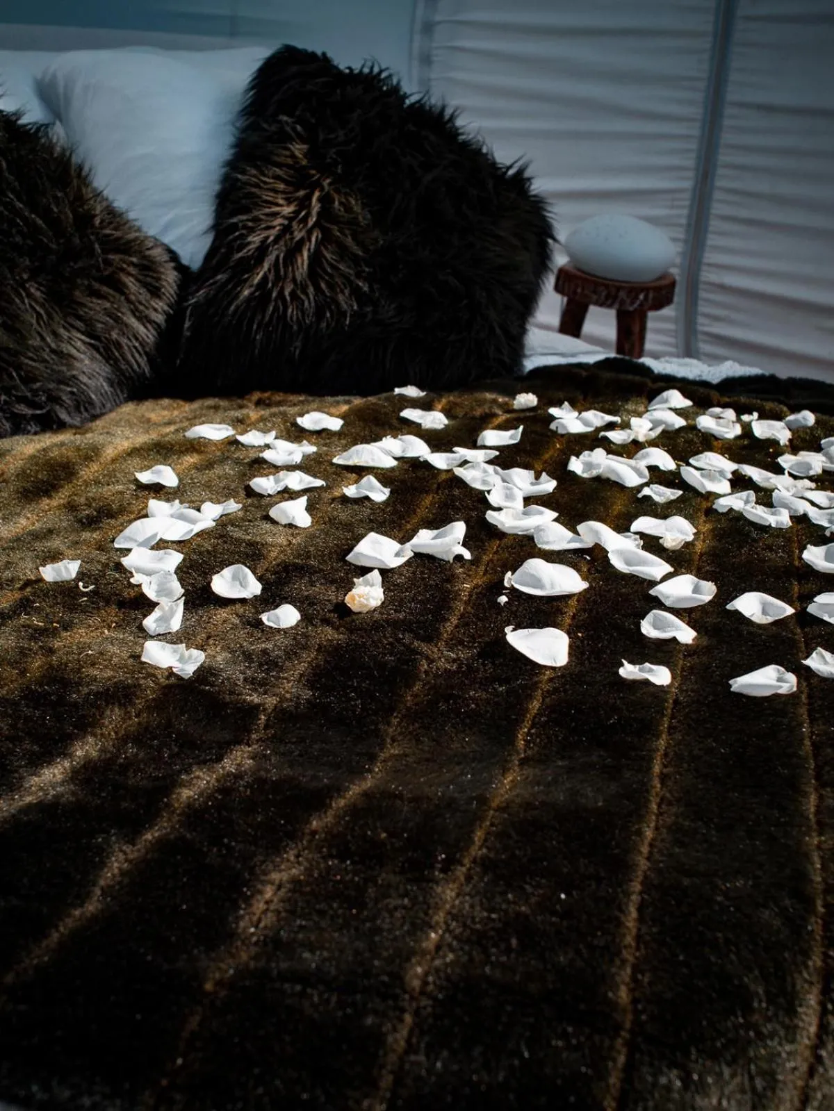 Bed in noct enbulle