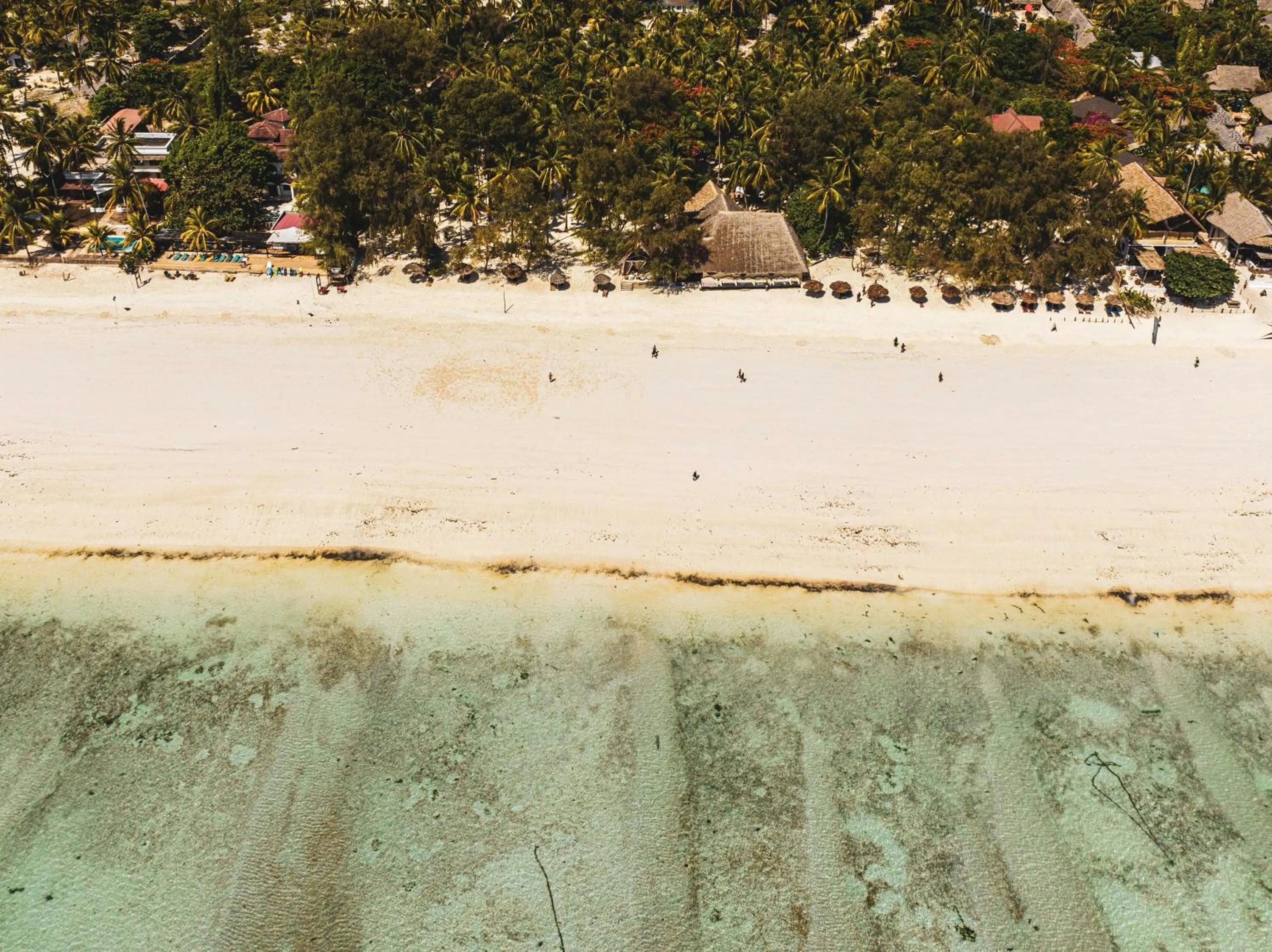 Day in Kinazi Upepo Beach Eco Sport Resort