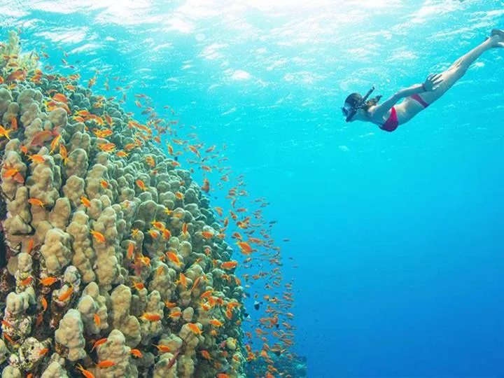 Kinazi Upepo Beach Eco Sport Resort