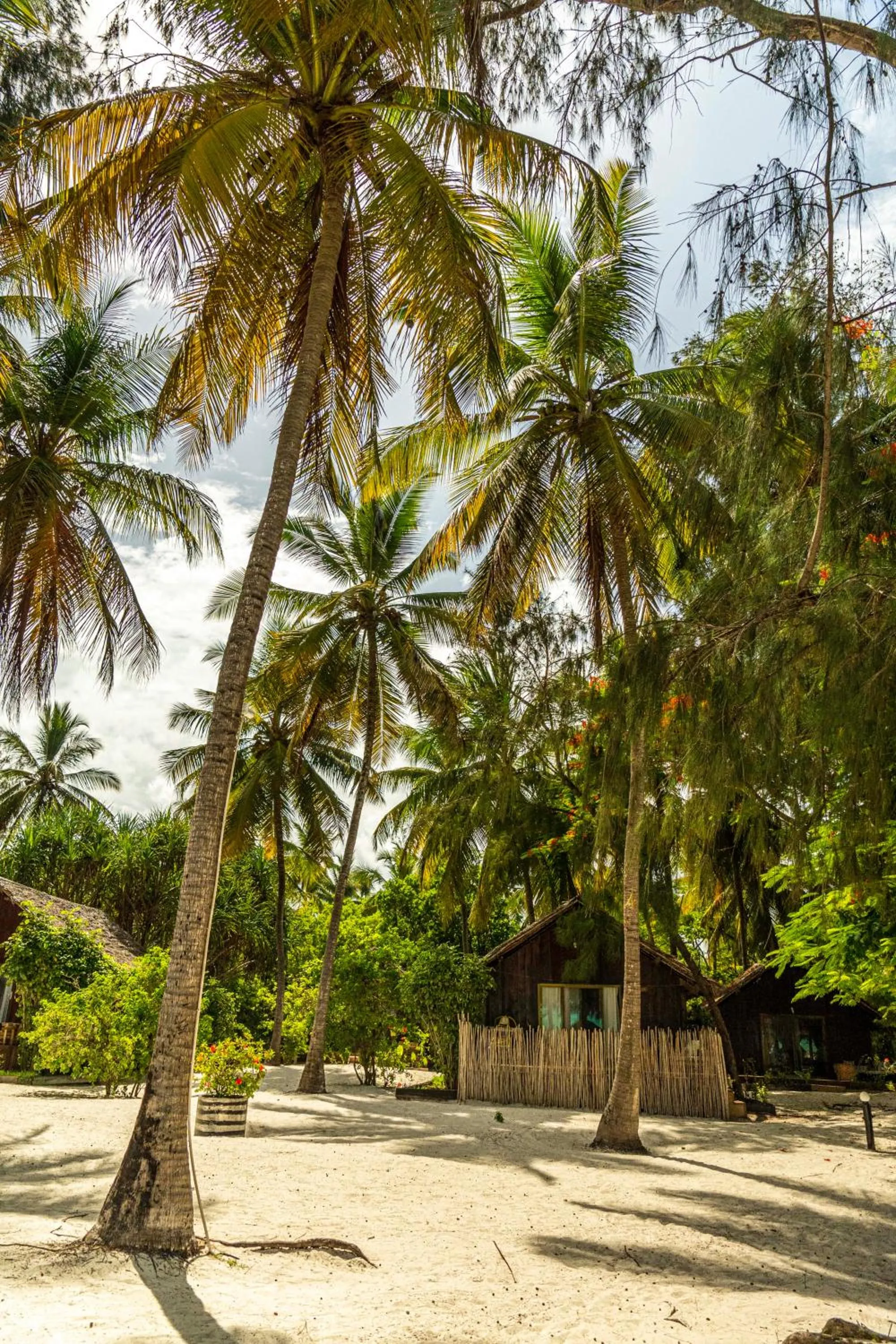 Kinazi Upepo Beach Eco Sport Resort