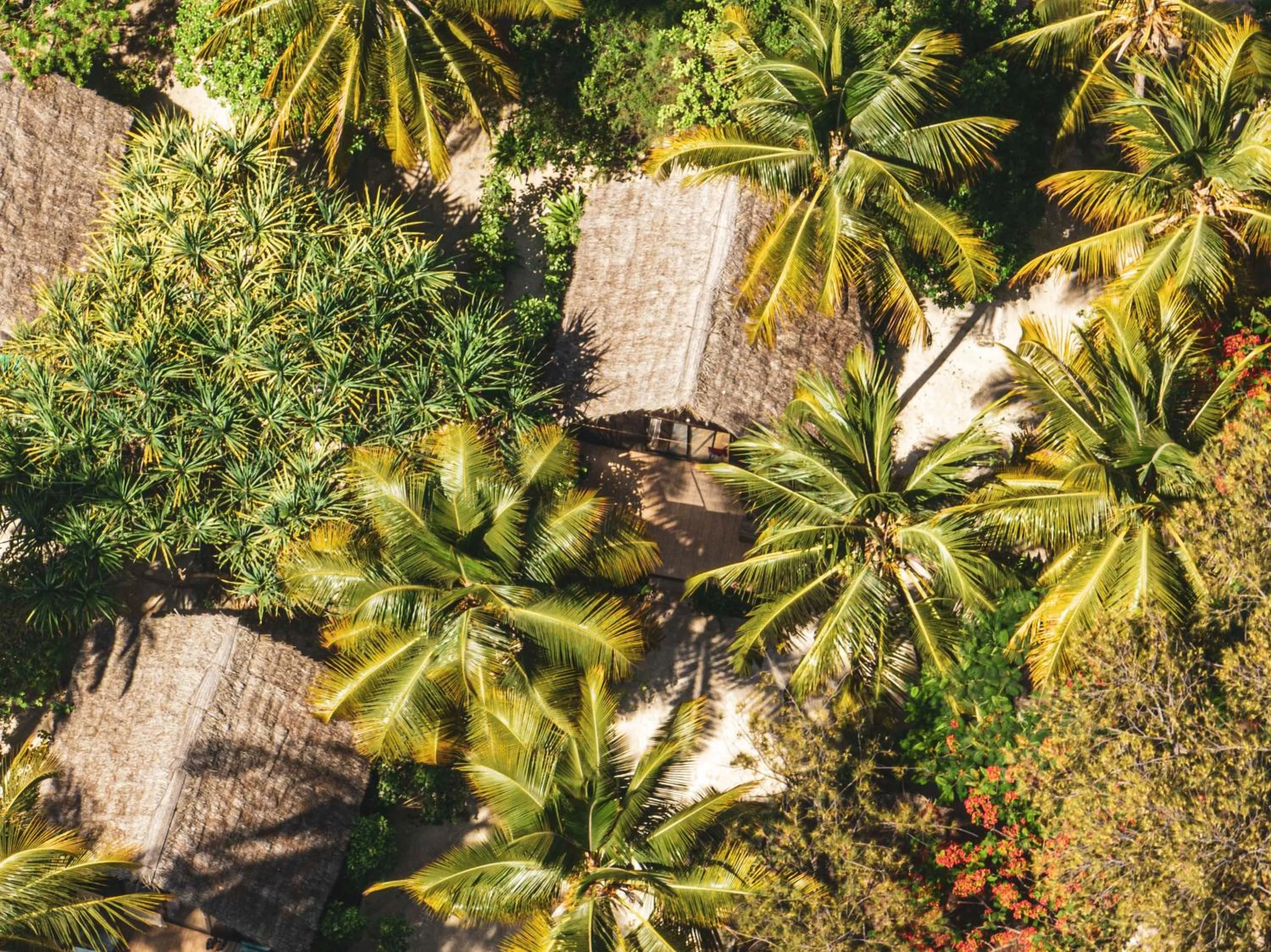 Day in Kinazi Upepo Beach Eco Sport Resort