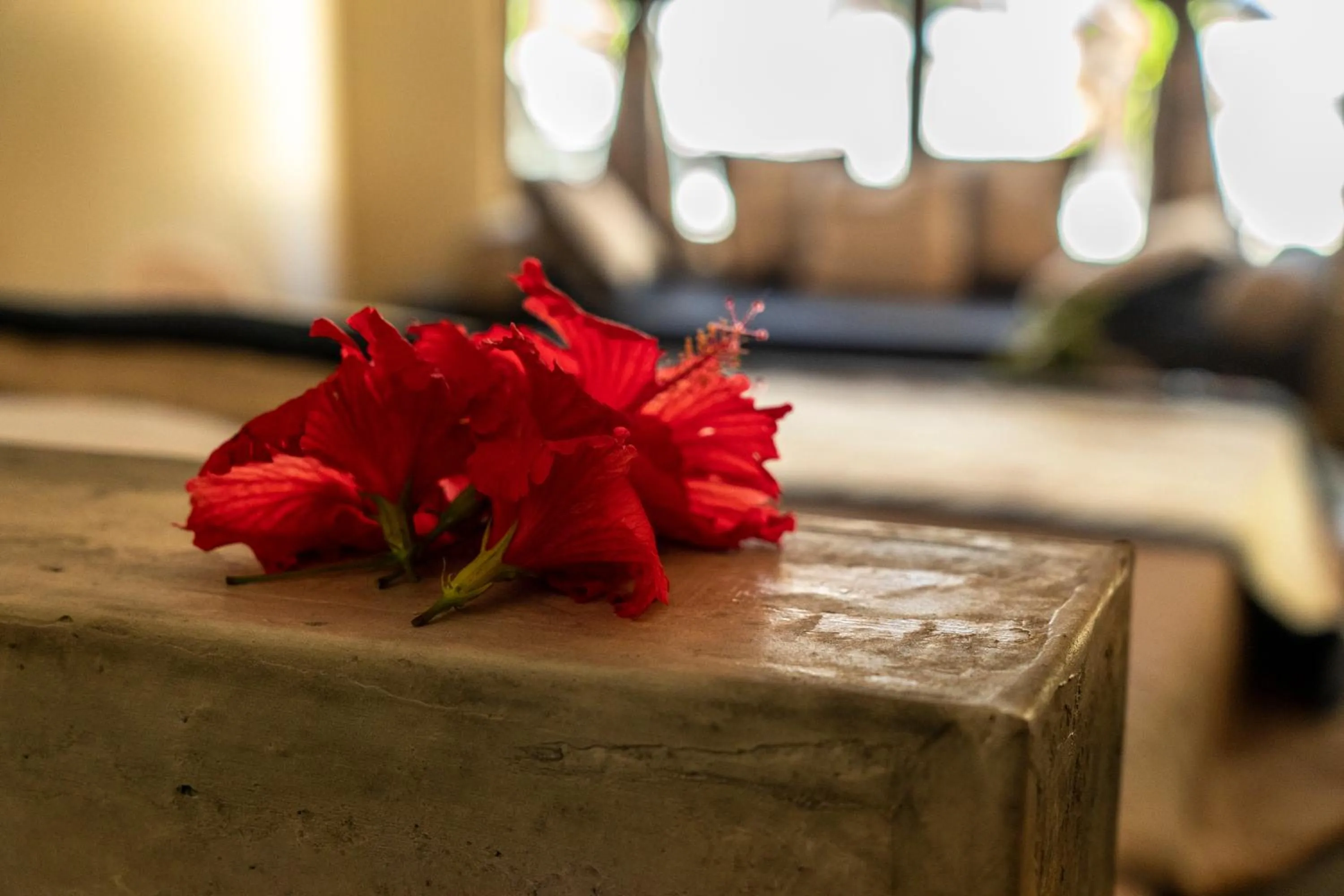 Kinazi Upepo Beach Eco Sport Resort