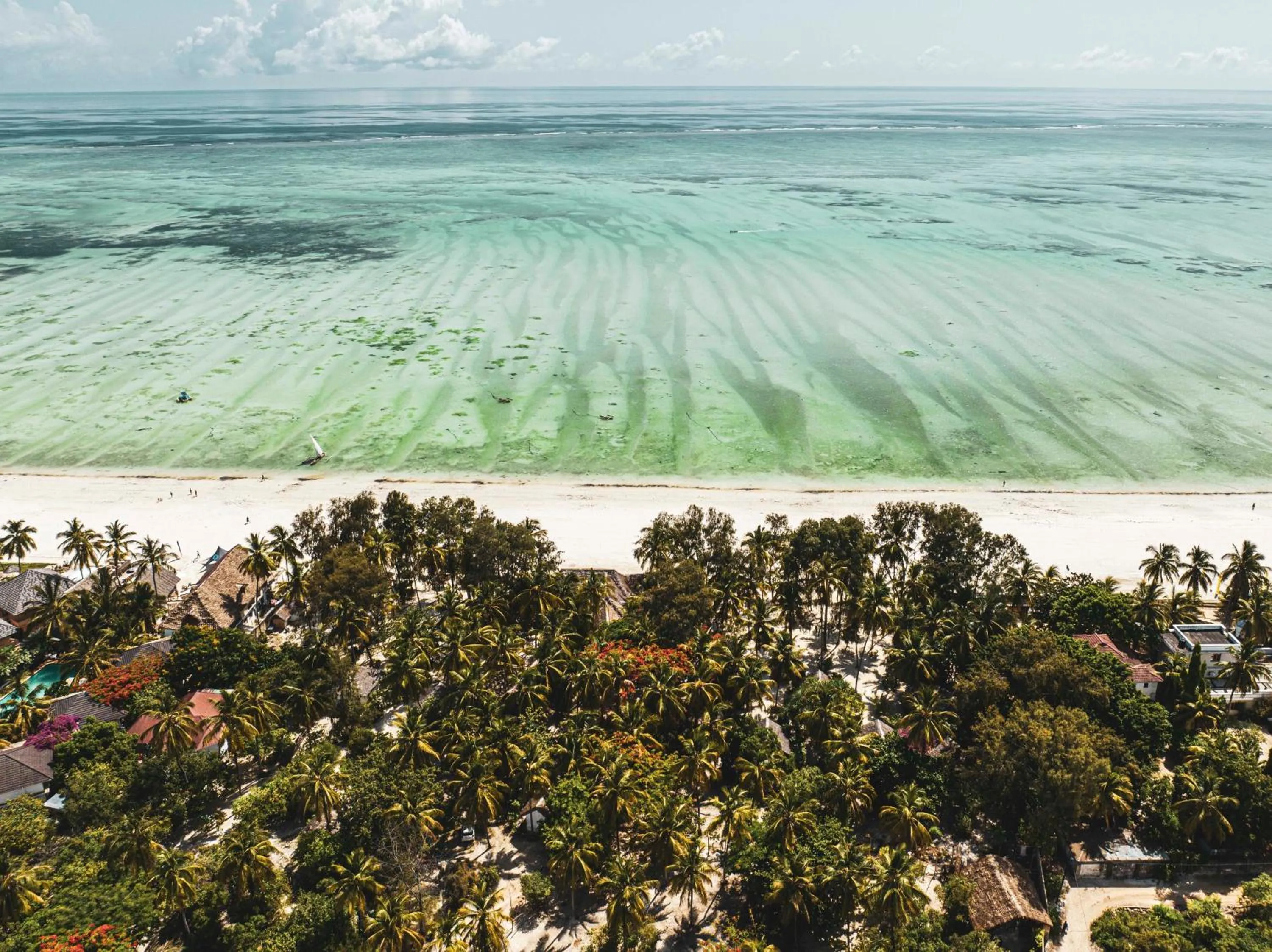 View (from property/room) in Kinazi Upepo Beach Eco Sport Resort