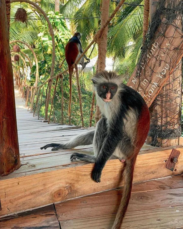 Kinazi Upepo Beach Eco Sport Resort