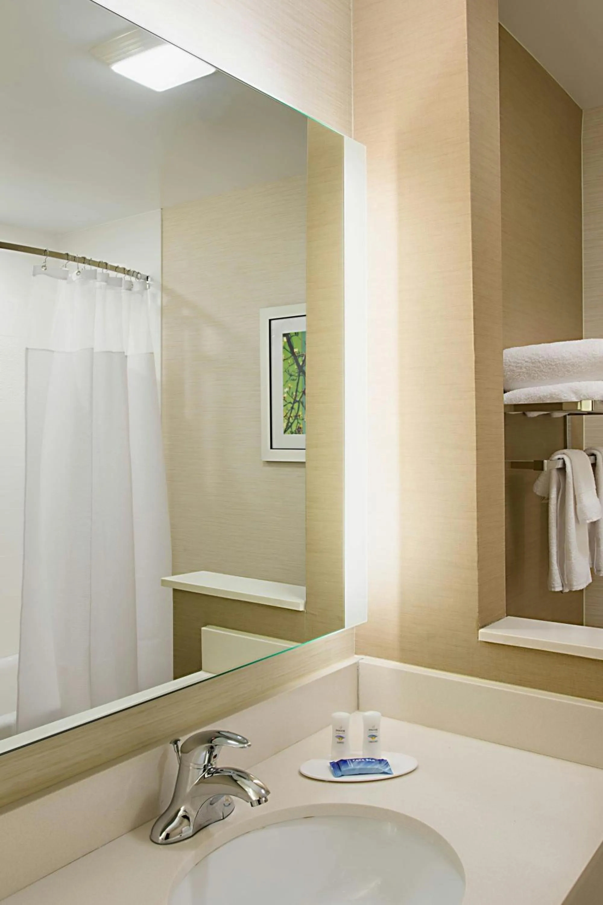 Bathroom in Fairfield Inn & Suites by Marriott Dallas West/I-30