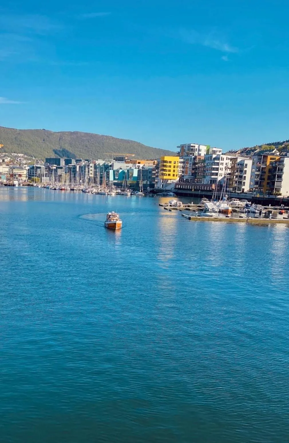 Neighbourhood in Magic Hotel Solheimsviken