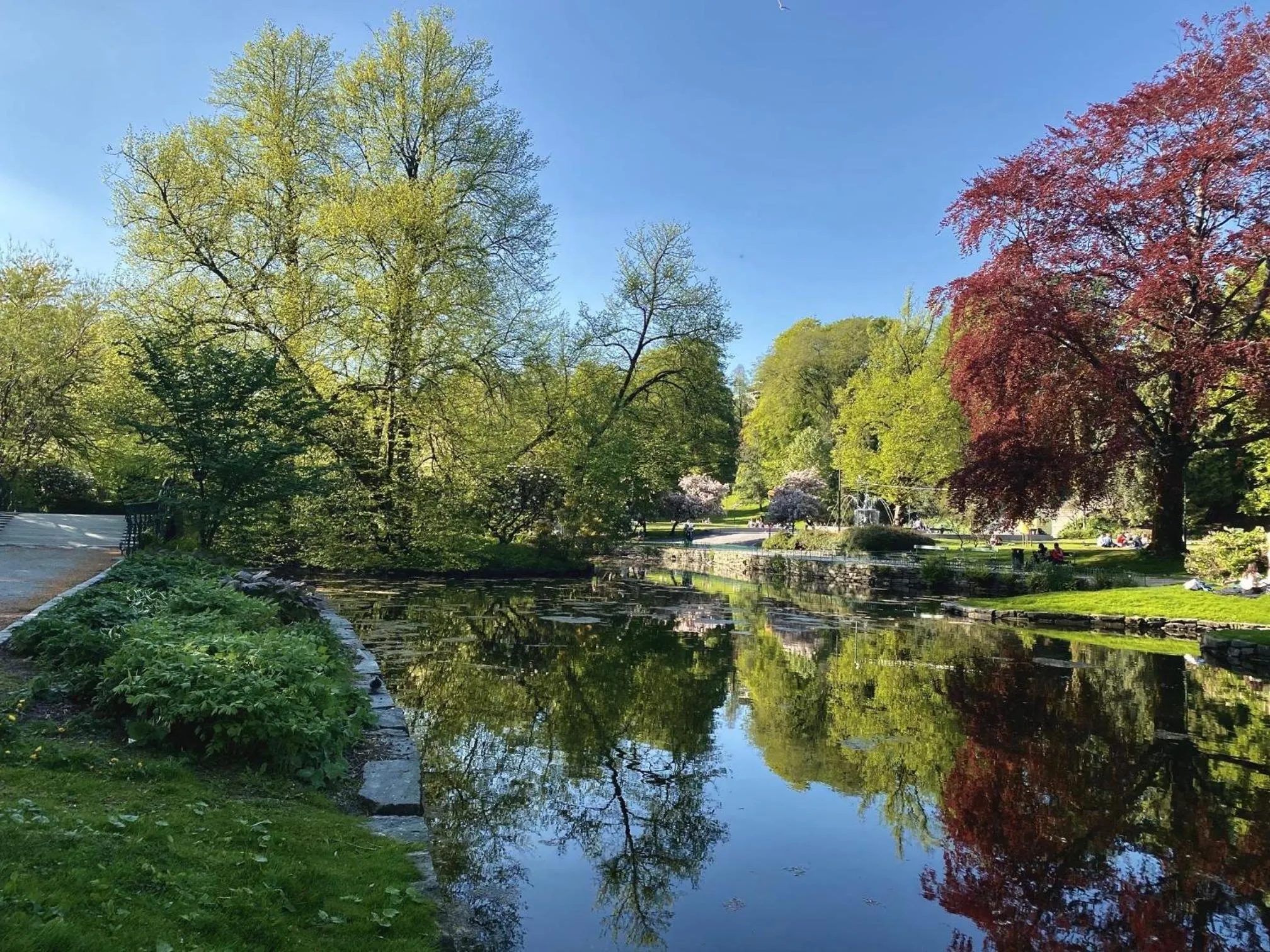 Natural landscape in Magic Hotel Solheimsviken
