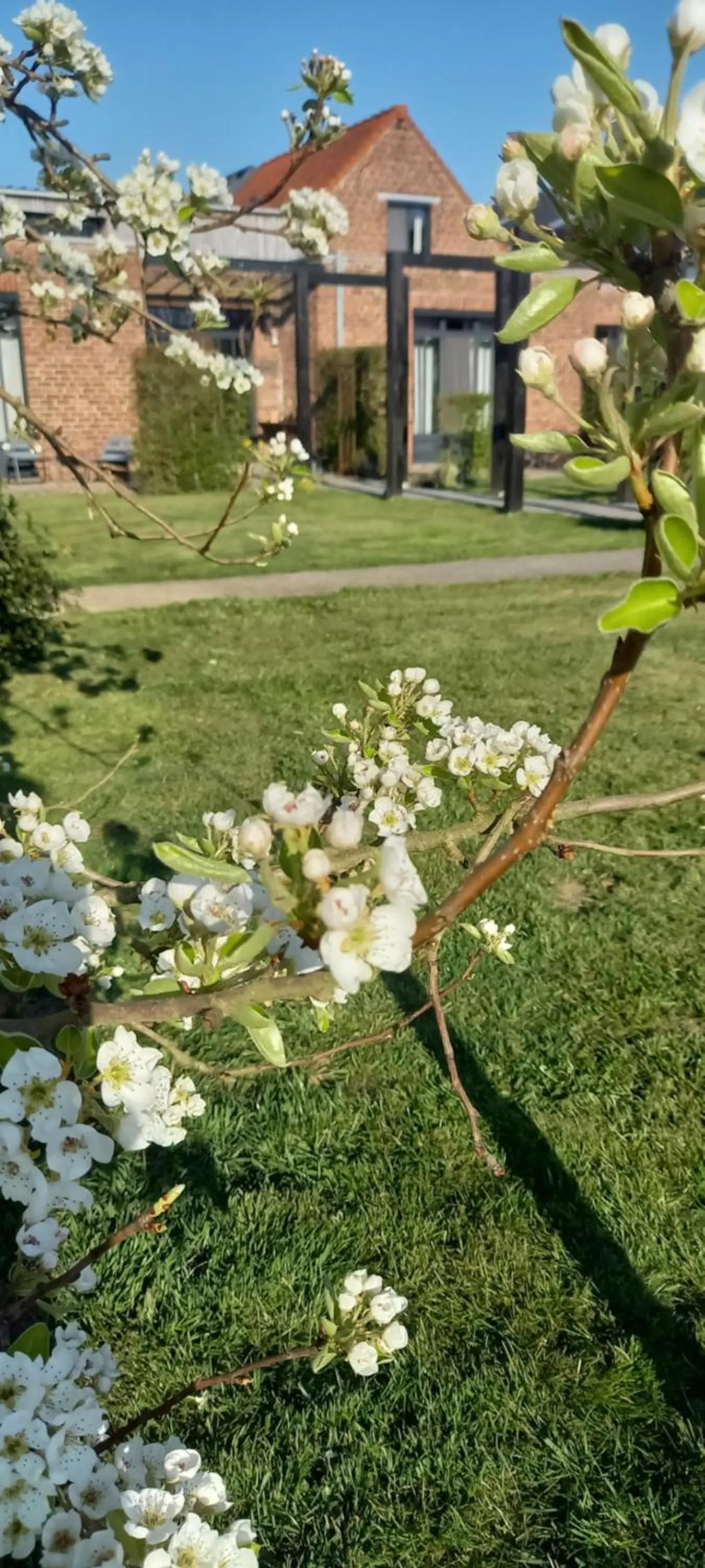 Property building in Chambres D´Hôtes Herbes Folles