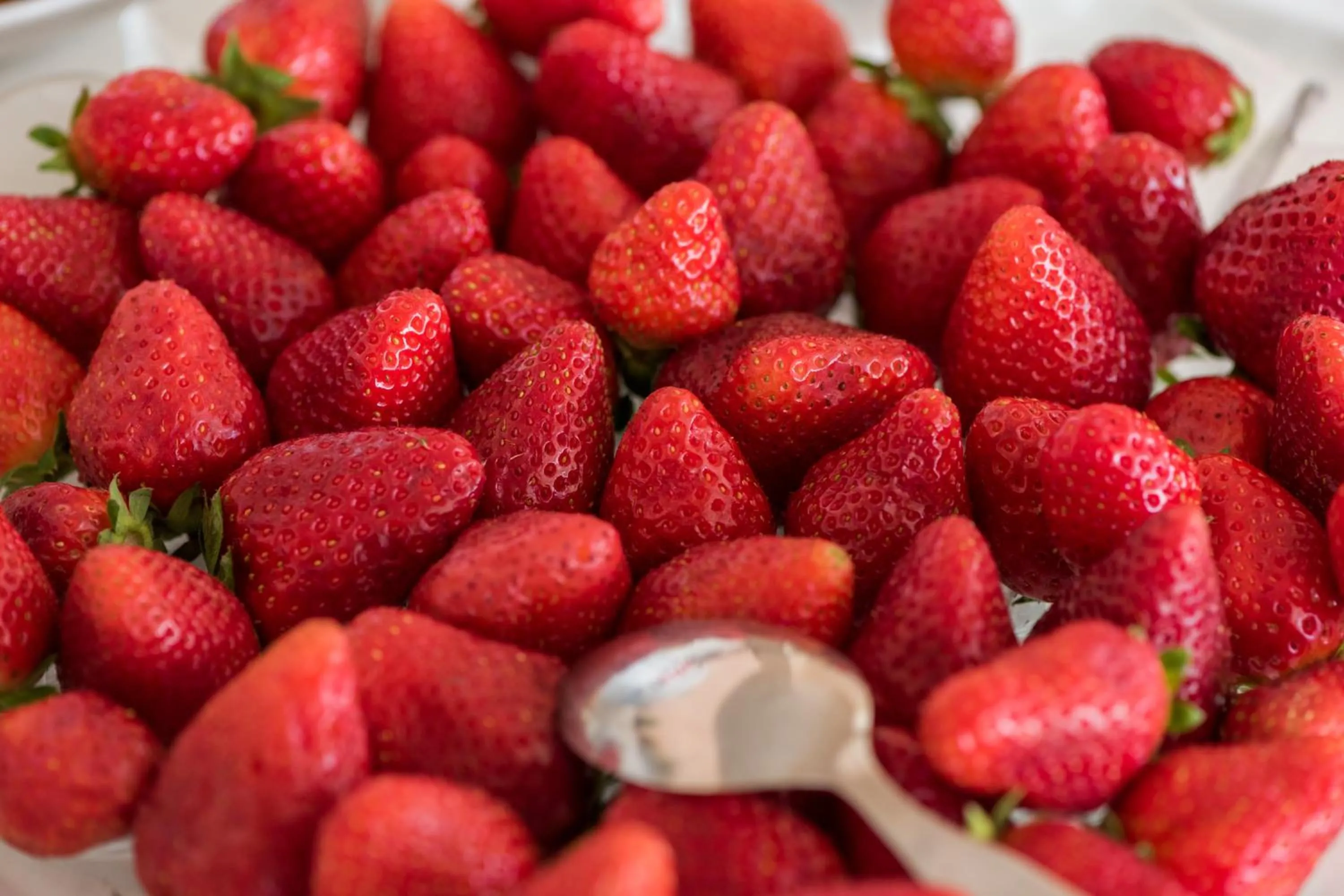 Food and drinks in Hotel Stefania