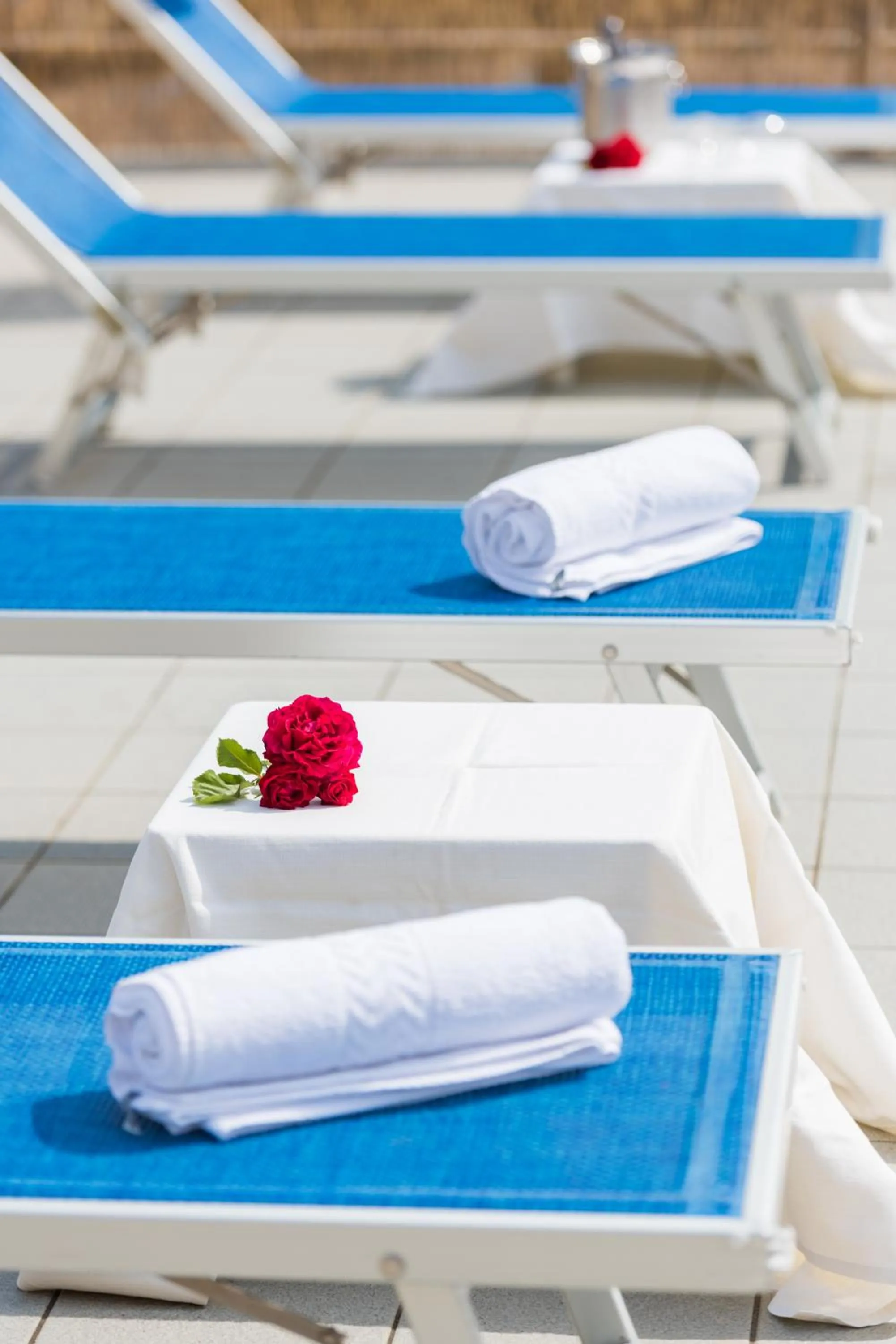 Swimming pool in Hotel Stefania