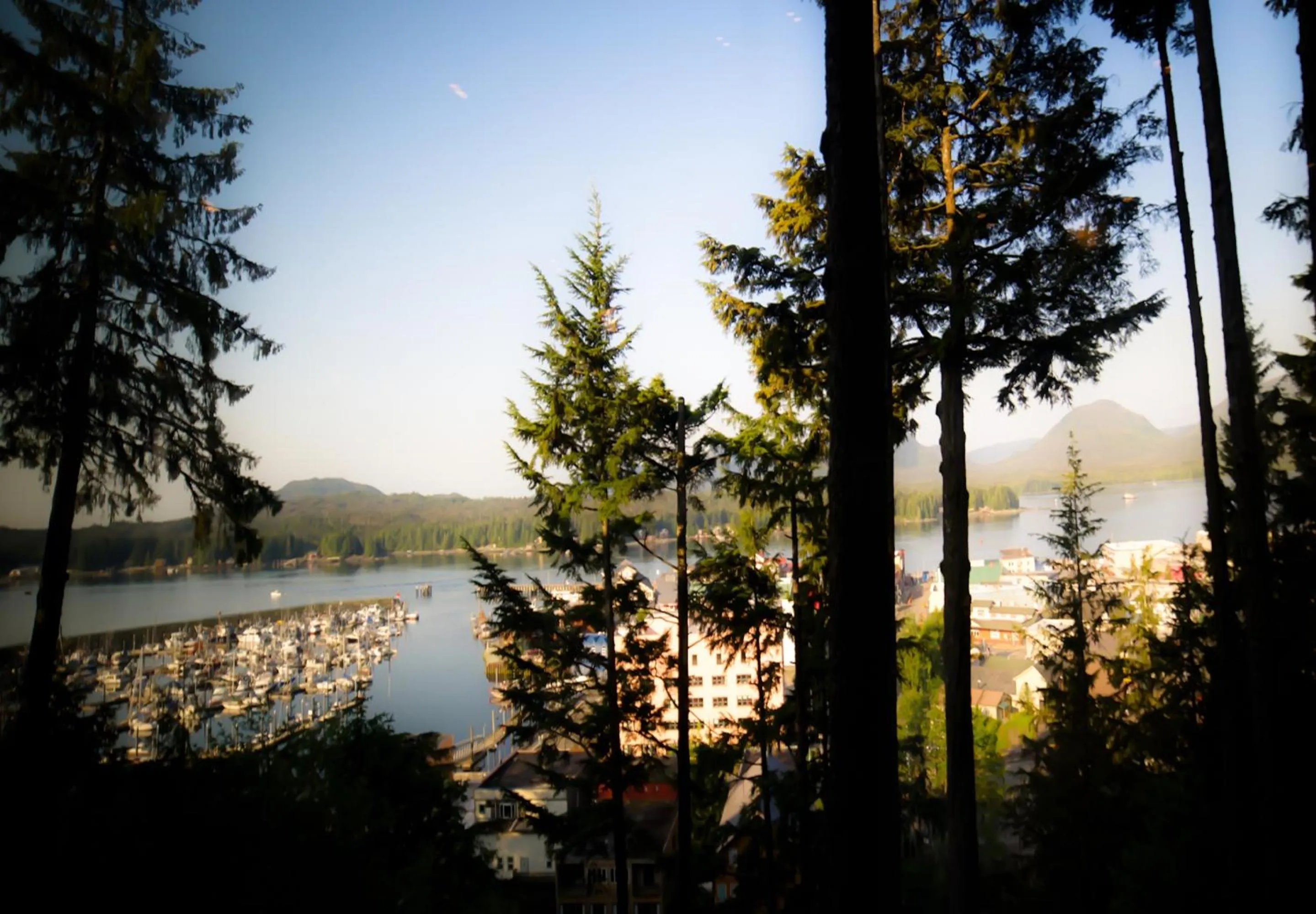 Sea view in Cape Fox Lodge