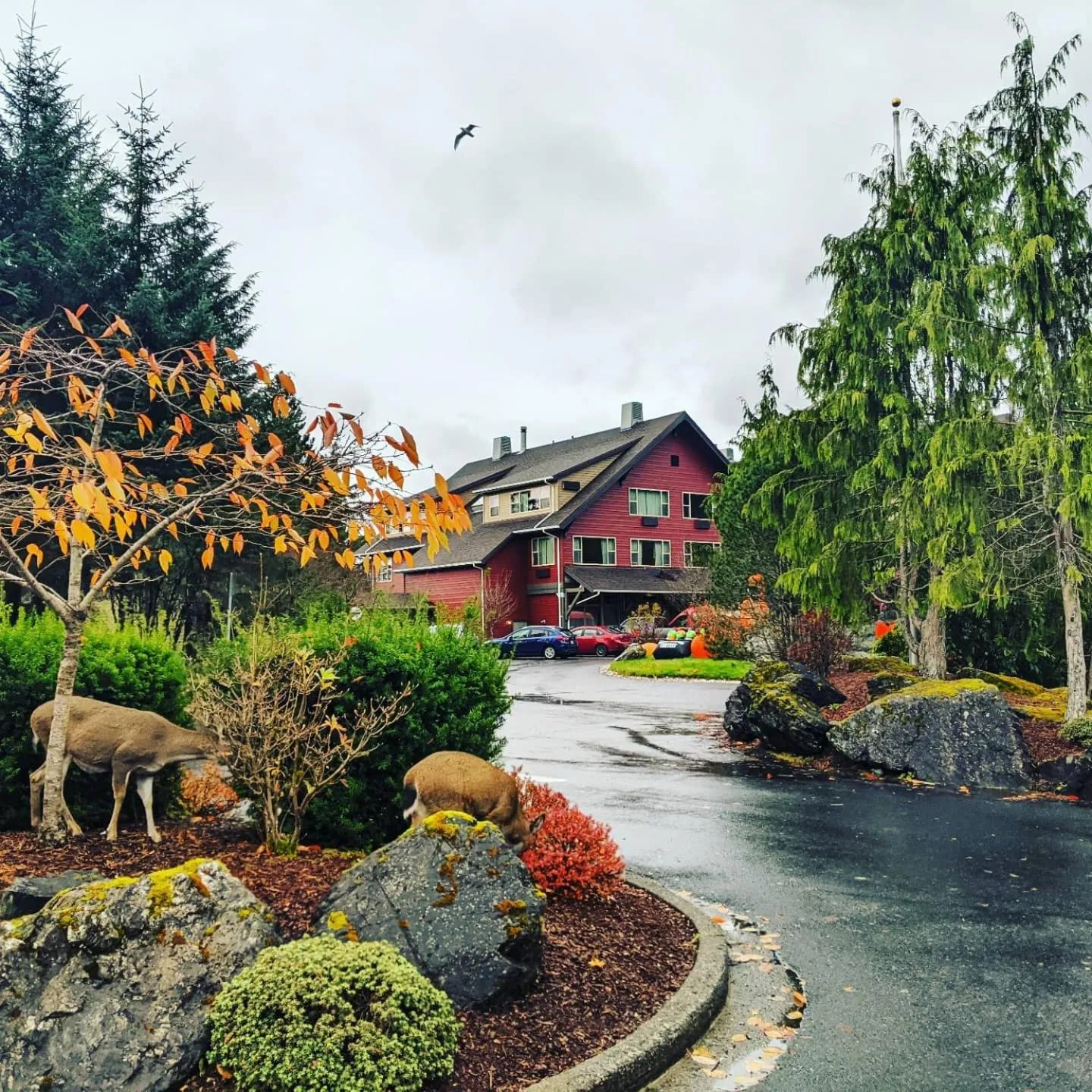 Property building in Cape Fox Lodge