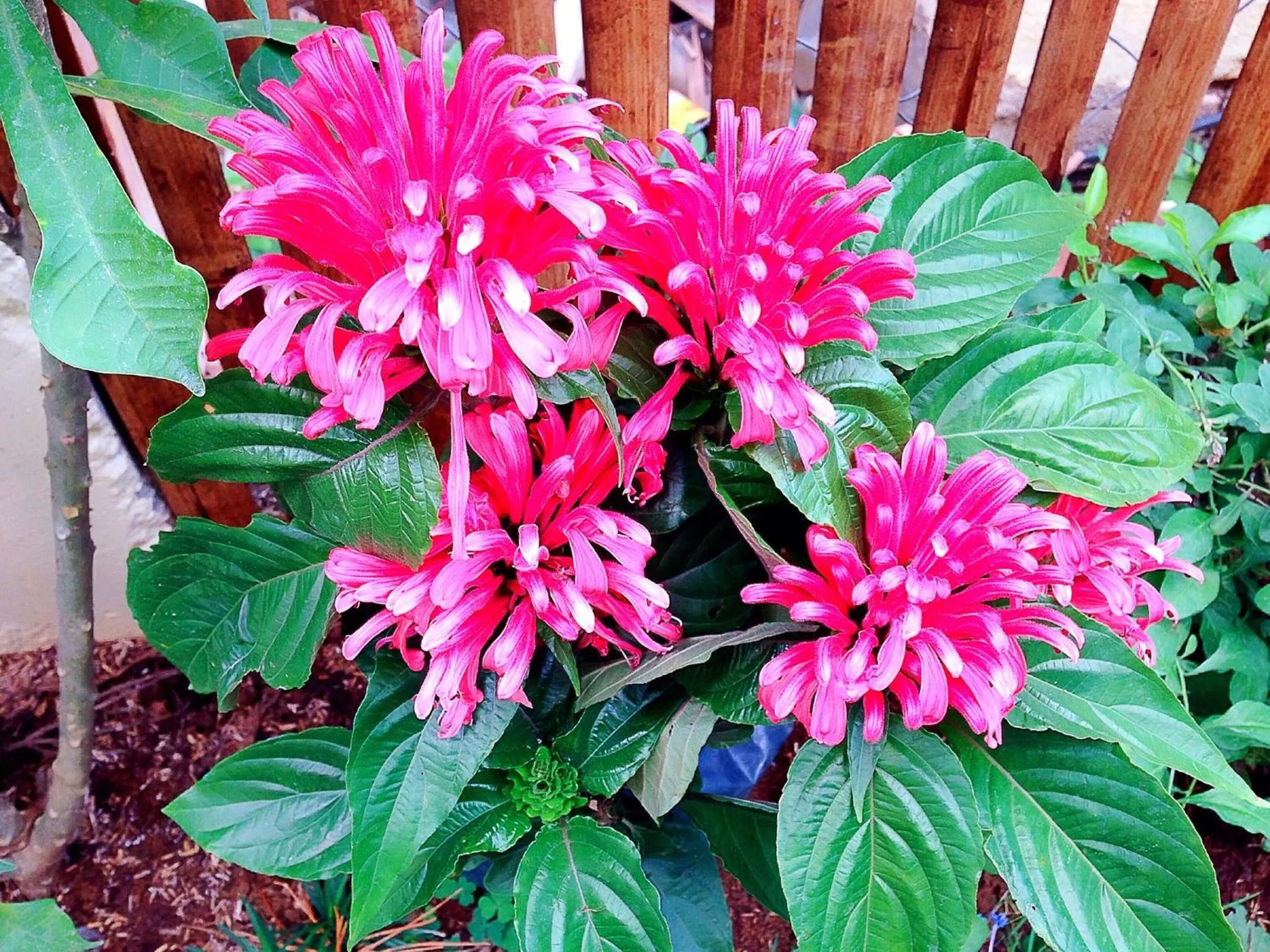 View (from property/room) in Captain's Lodge and Bar