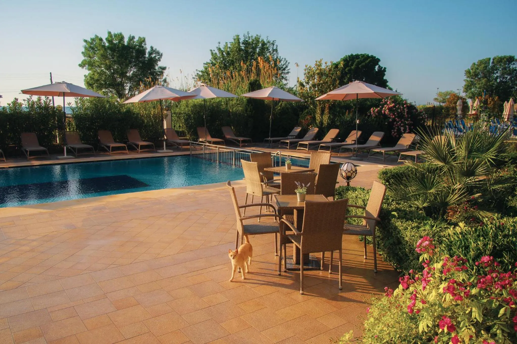 Sunny Castle Hotel - All Inclusive, Beach and Free parking