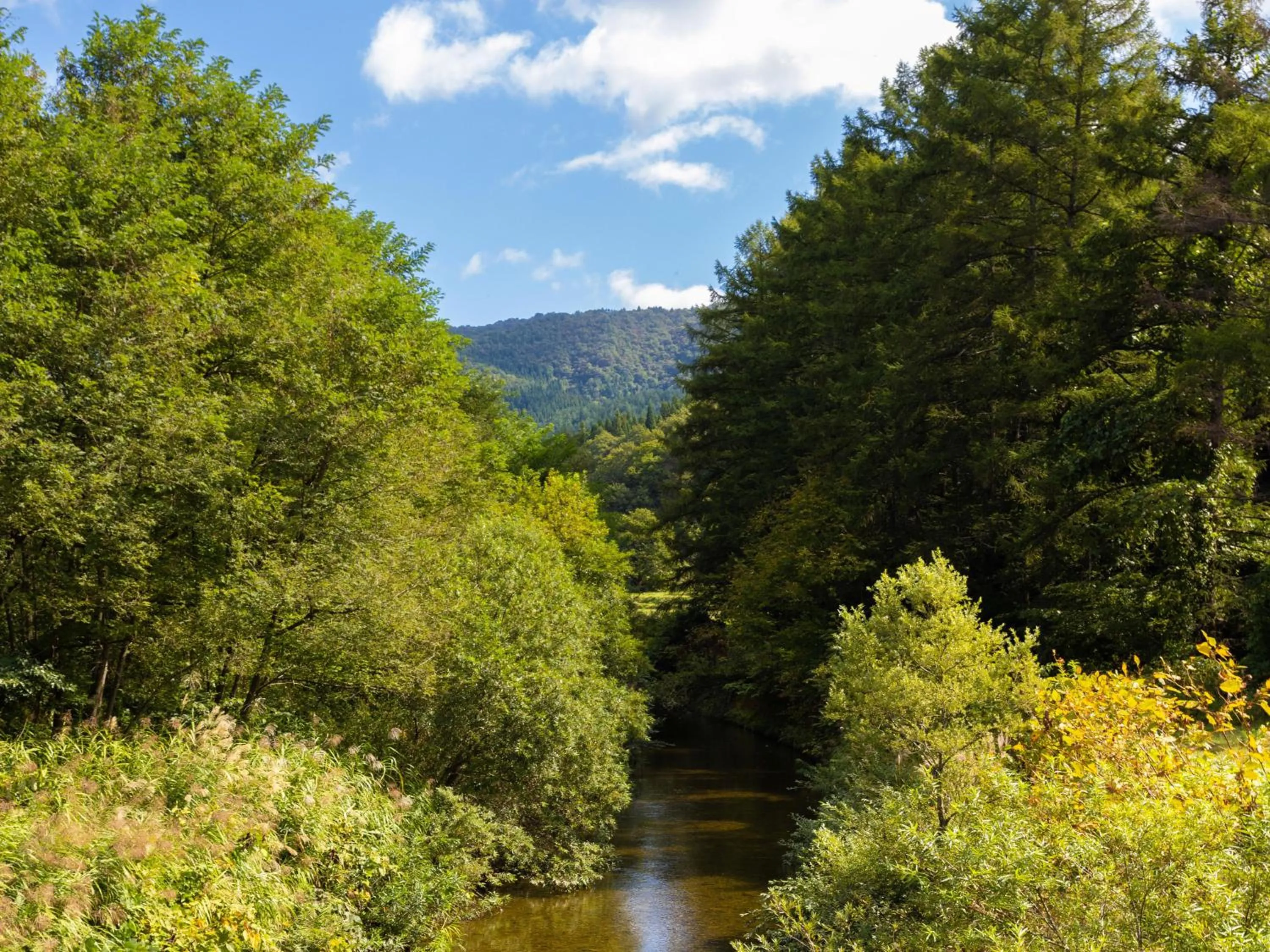 Off site in Yunohara