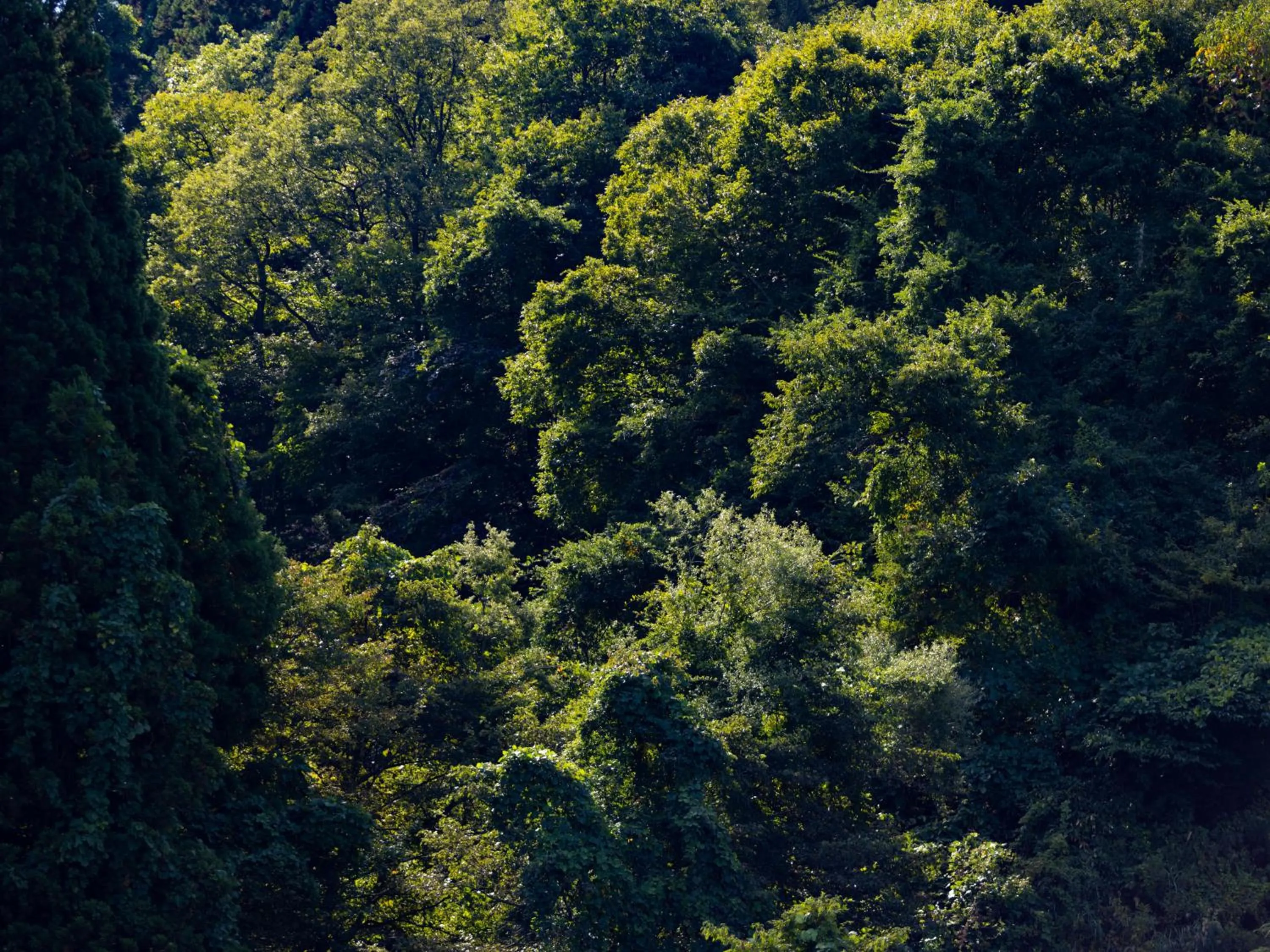 Off site in Yunohara