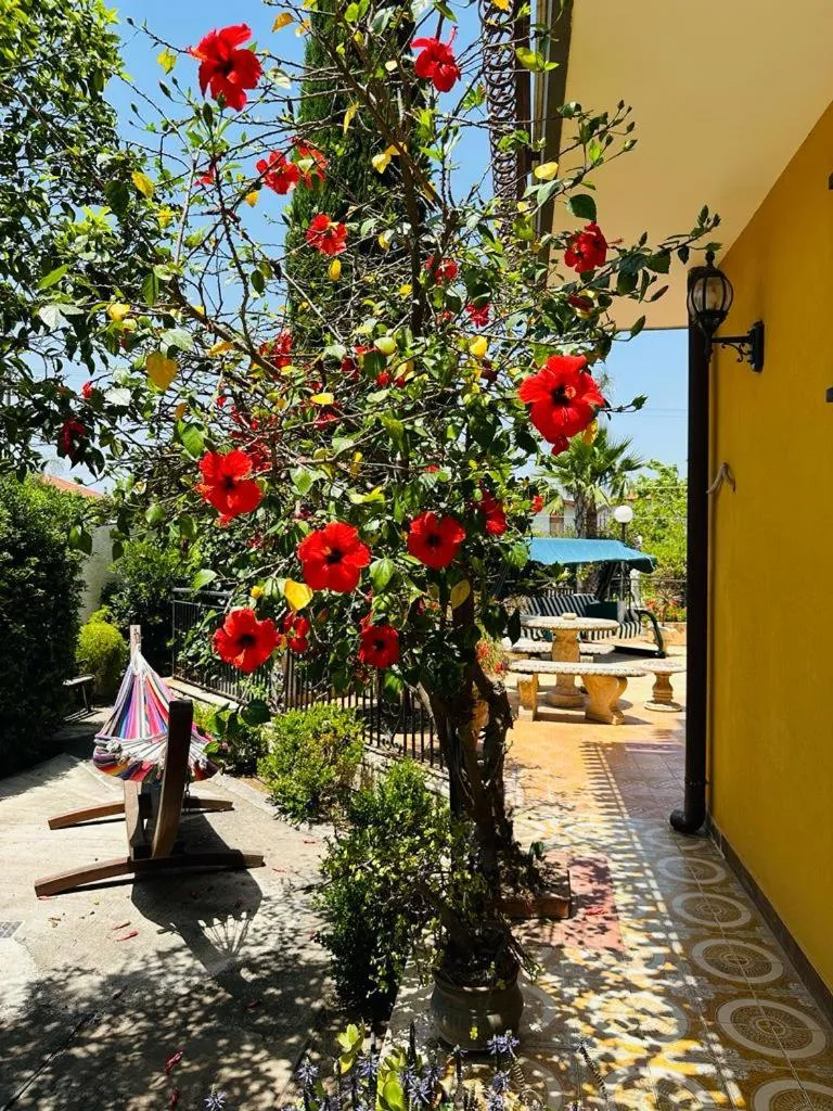 Garden view in Villa Sicels - Agnone Beach - Syracuse