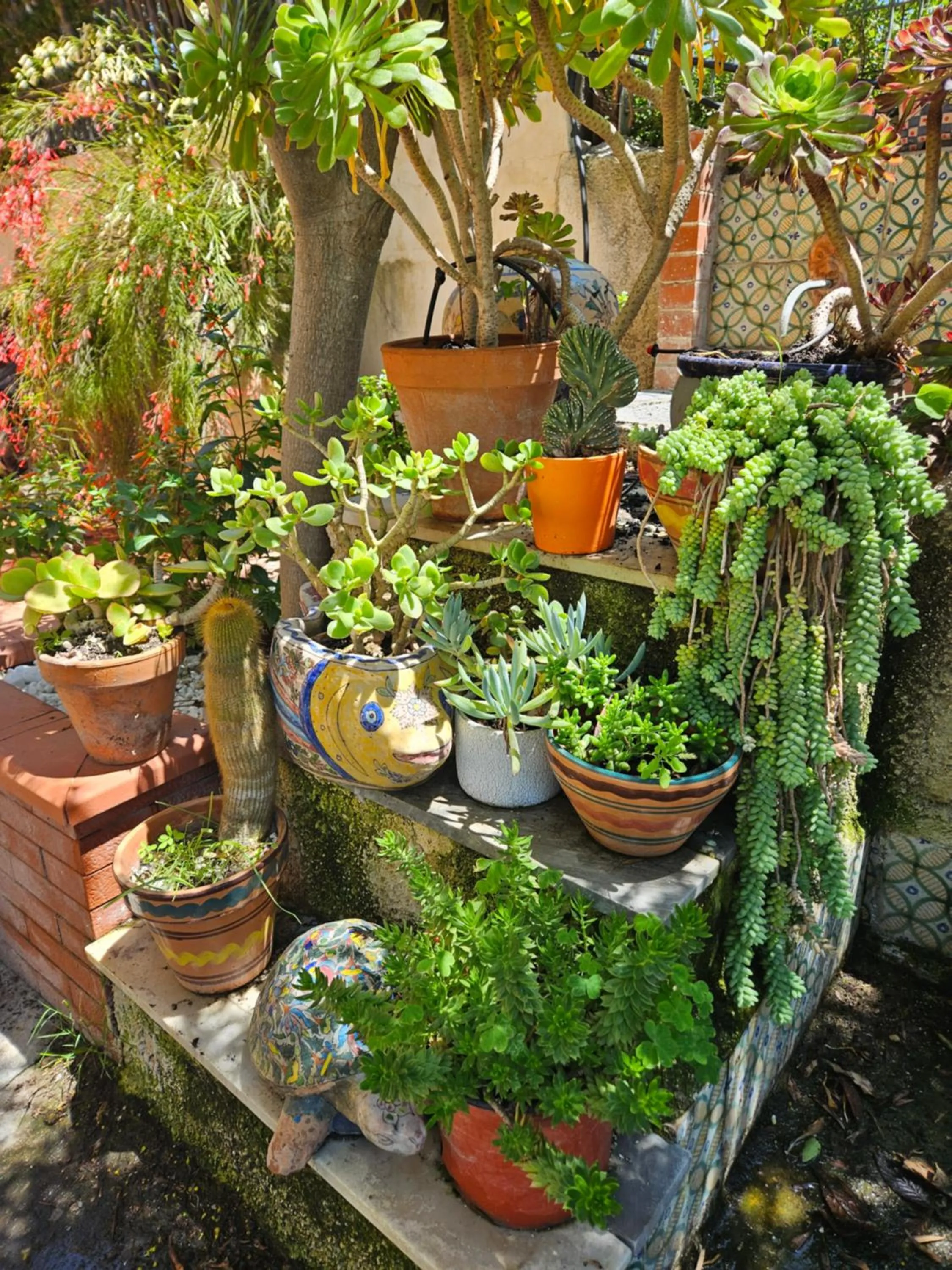 Garden in Villa Sicels - Agnone Beach - Syracuse