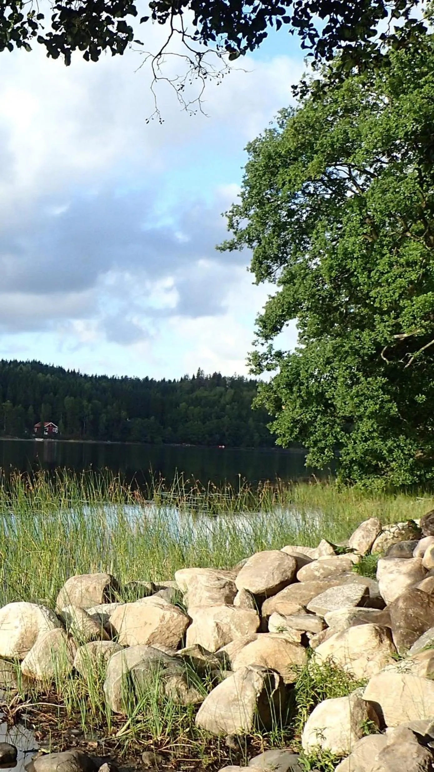 Natural landscape in Évika boutique hotel