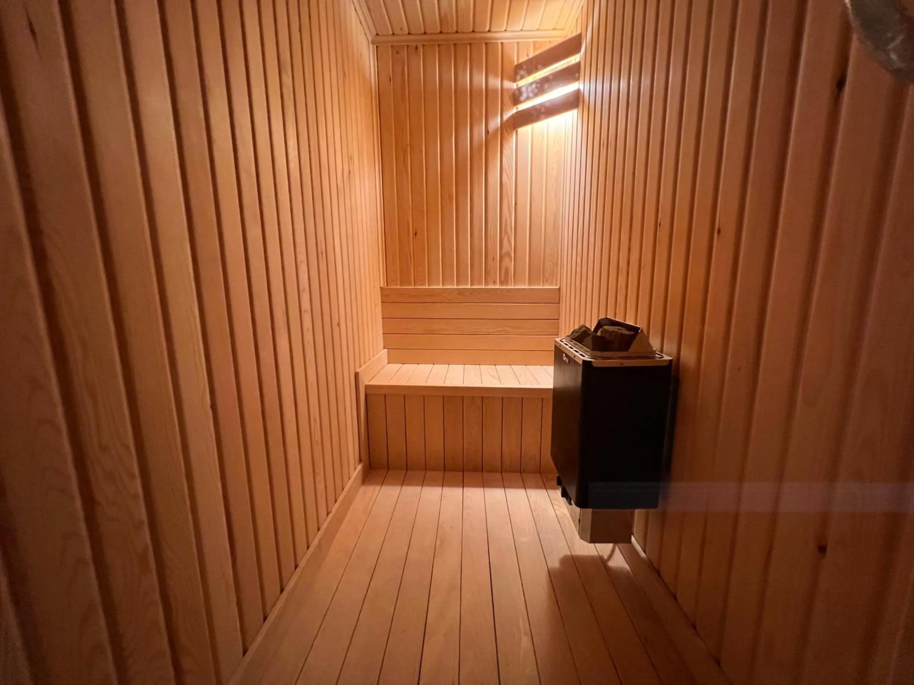 Sauna in REAL KiNG RESiDANCE